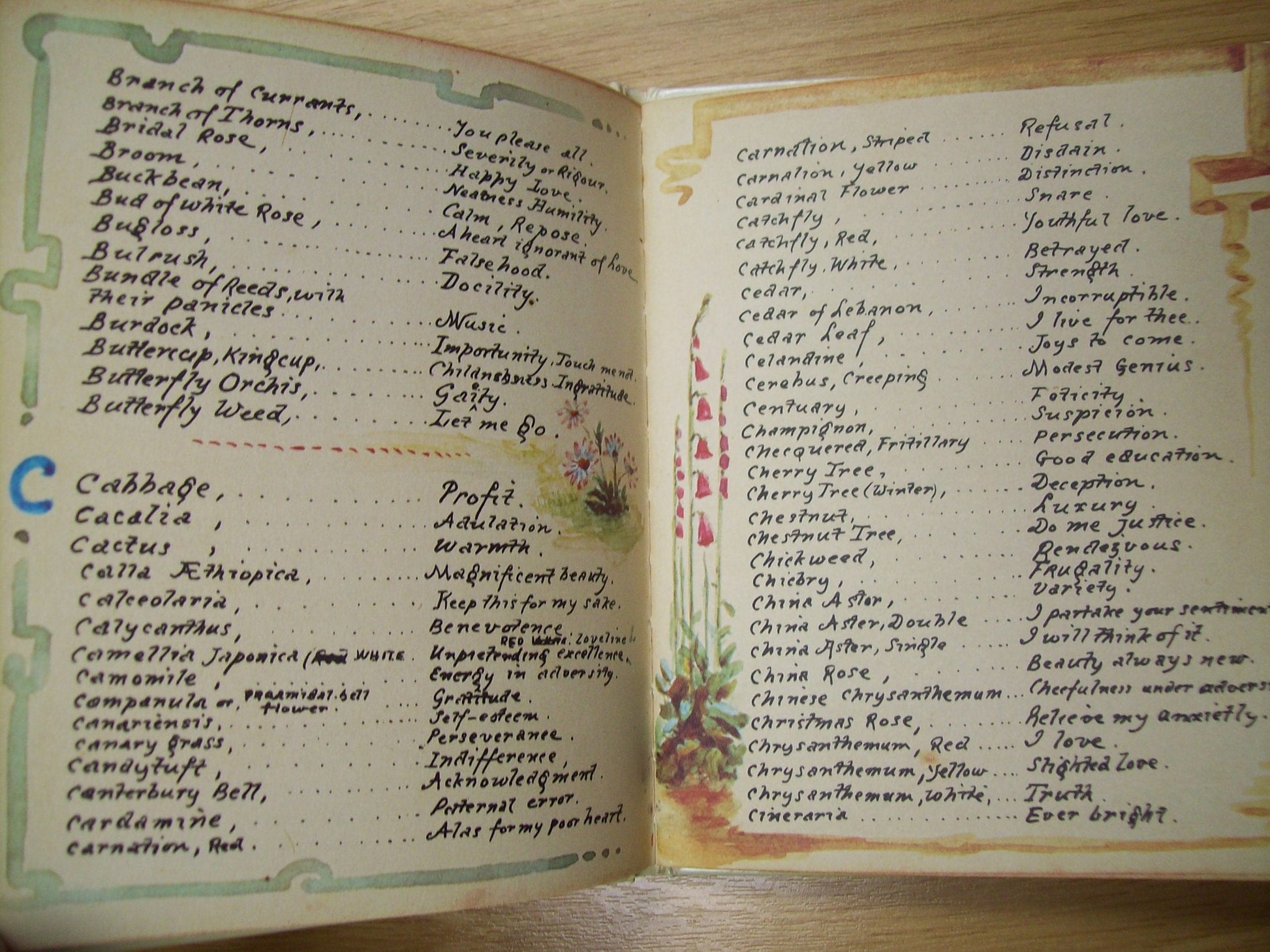 The Language of Flowers used book depot