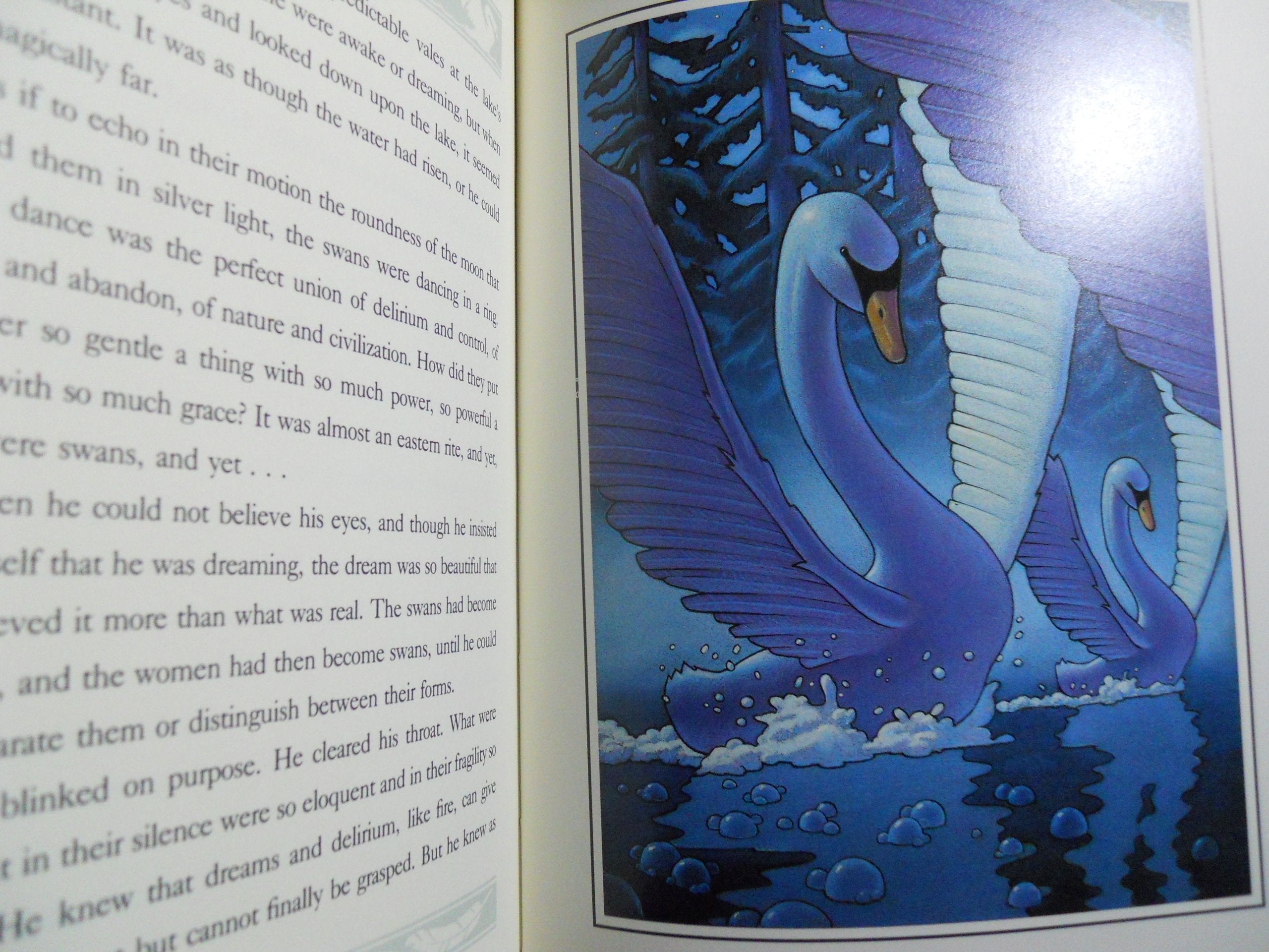 Swan Lake used book depot