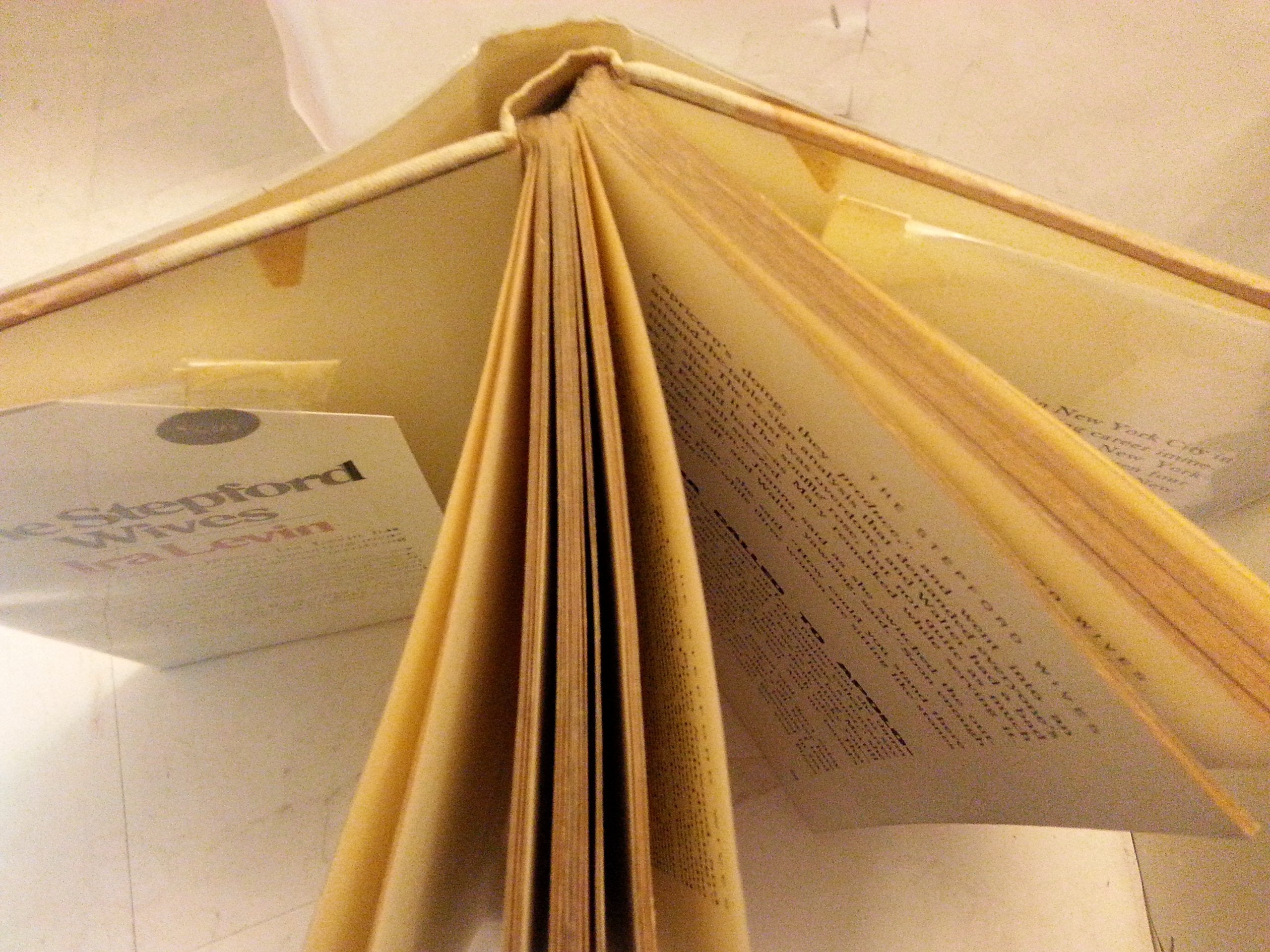 The Stepford Wives used book depot