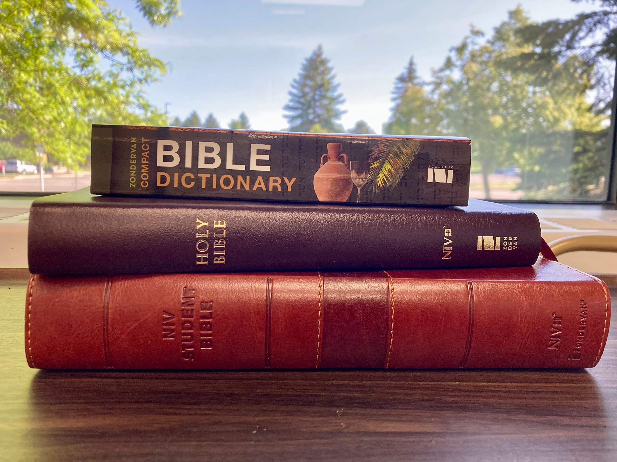 Zondervan Compact Bible Dictionary: A-to-Z Pocket Dictionary with Over 5,000 Entries (Classic Compact Series) used book depot