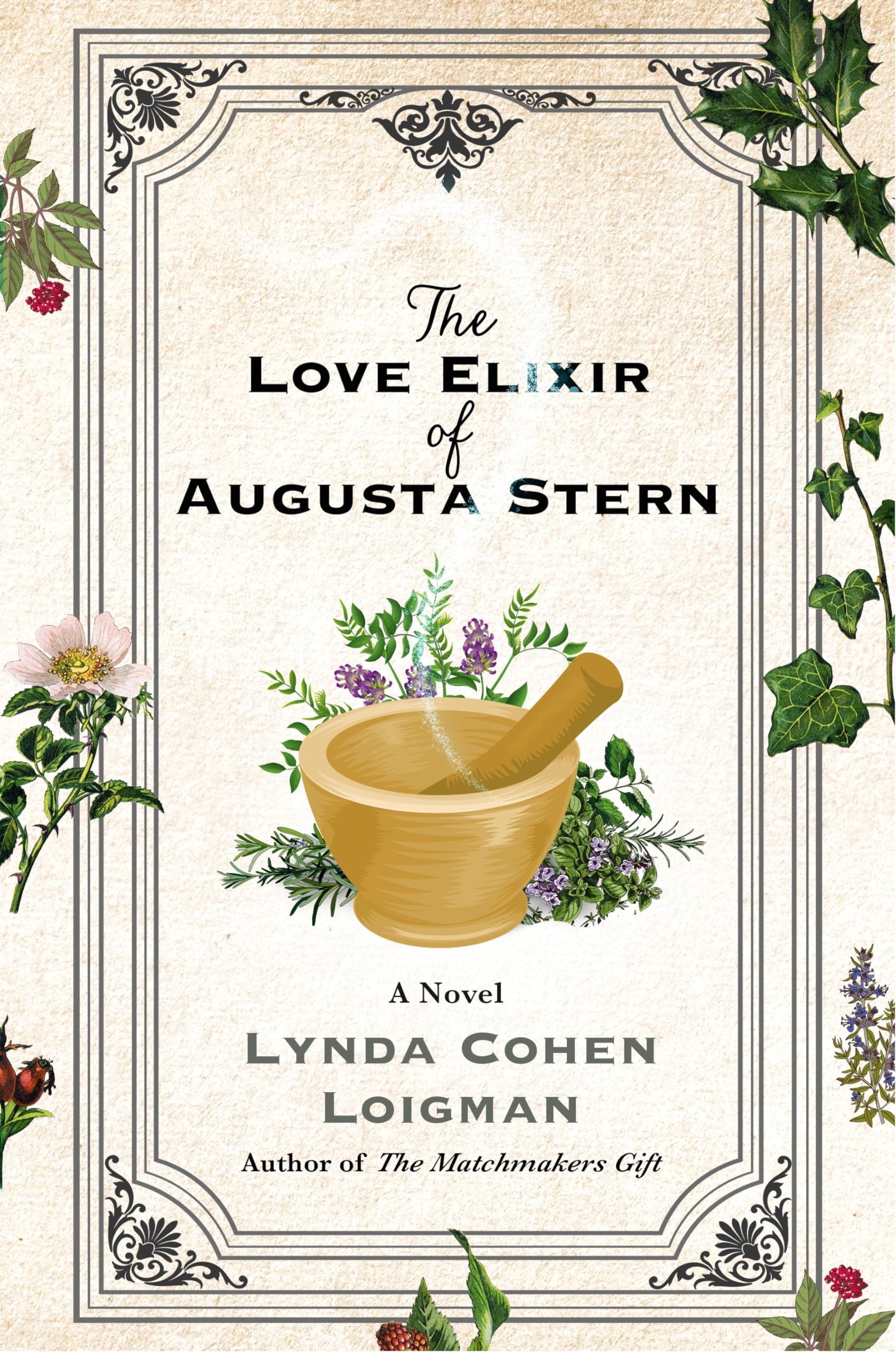 The Love Elixir of Augusta Stern: A Novel used book depot