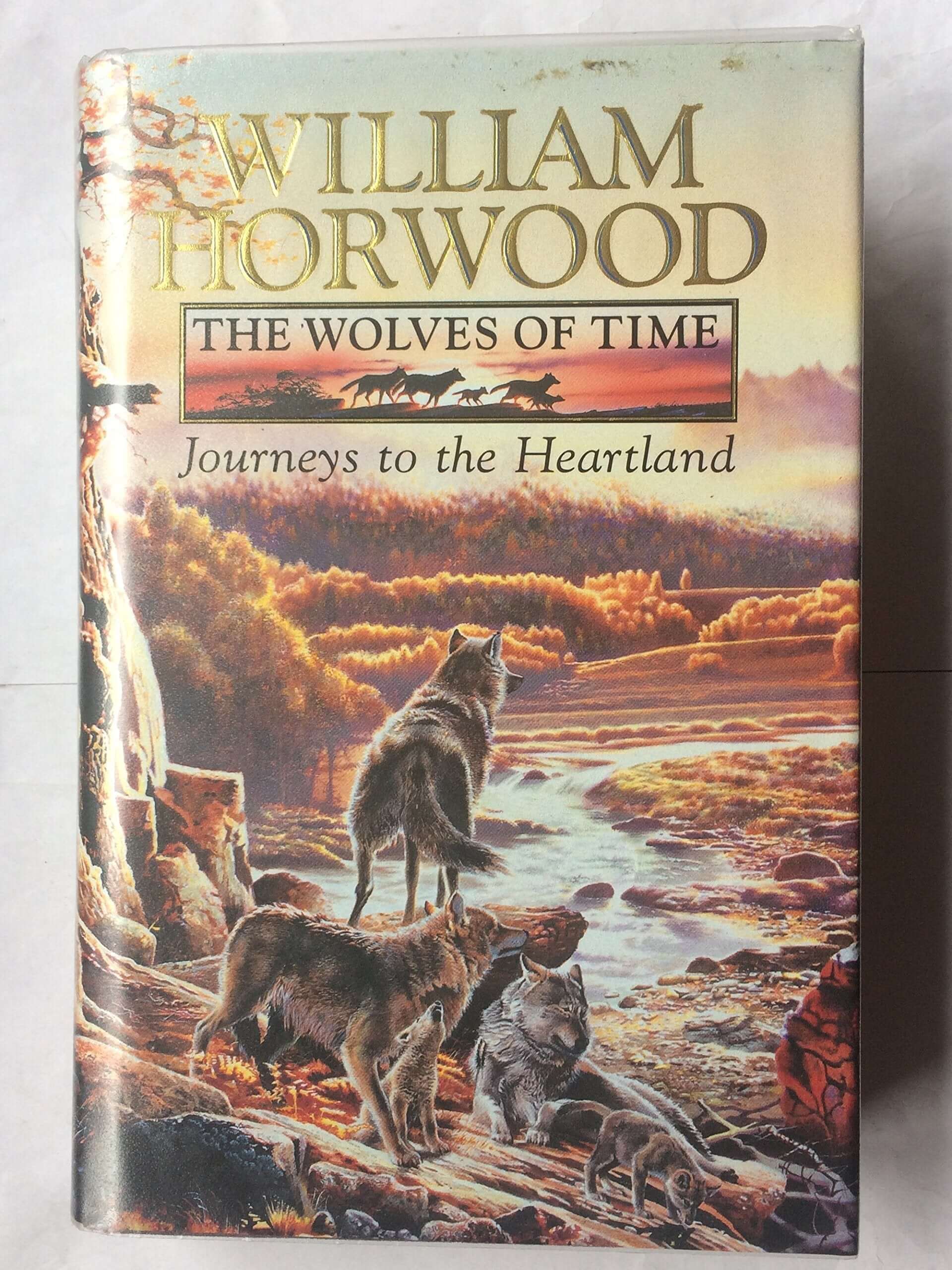 Journeys to the Heartland (The wolves of time) used book depot