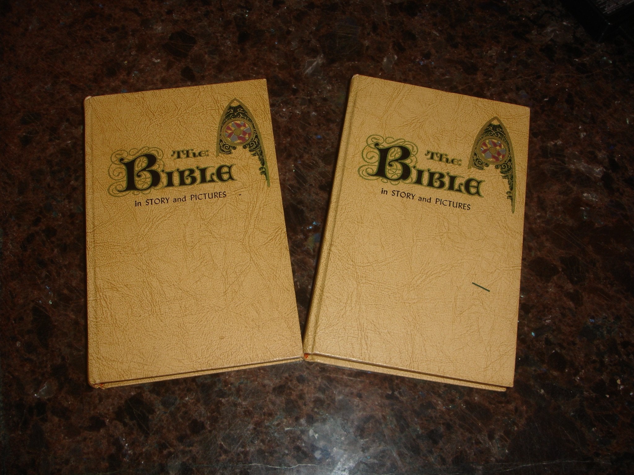 The Bible in Story and Pictures 2 Volume Set 1956 used book depot