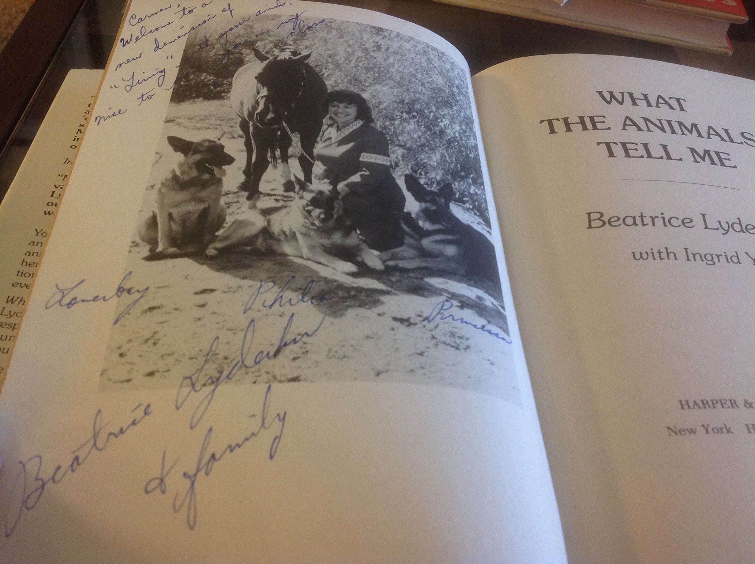 What the animals tell me used book depot