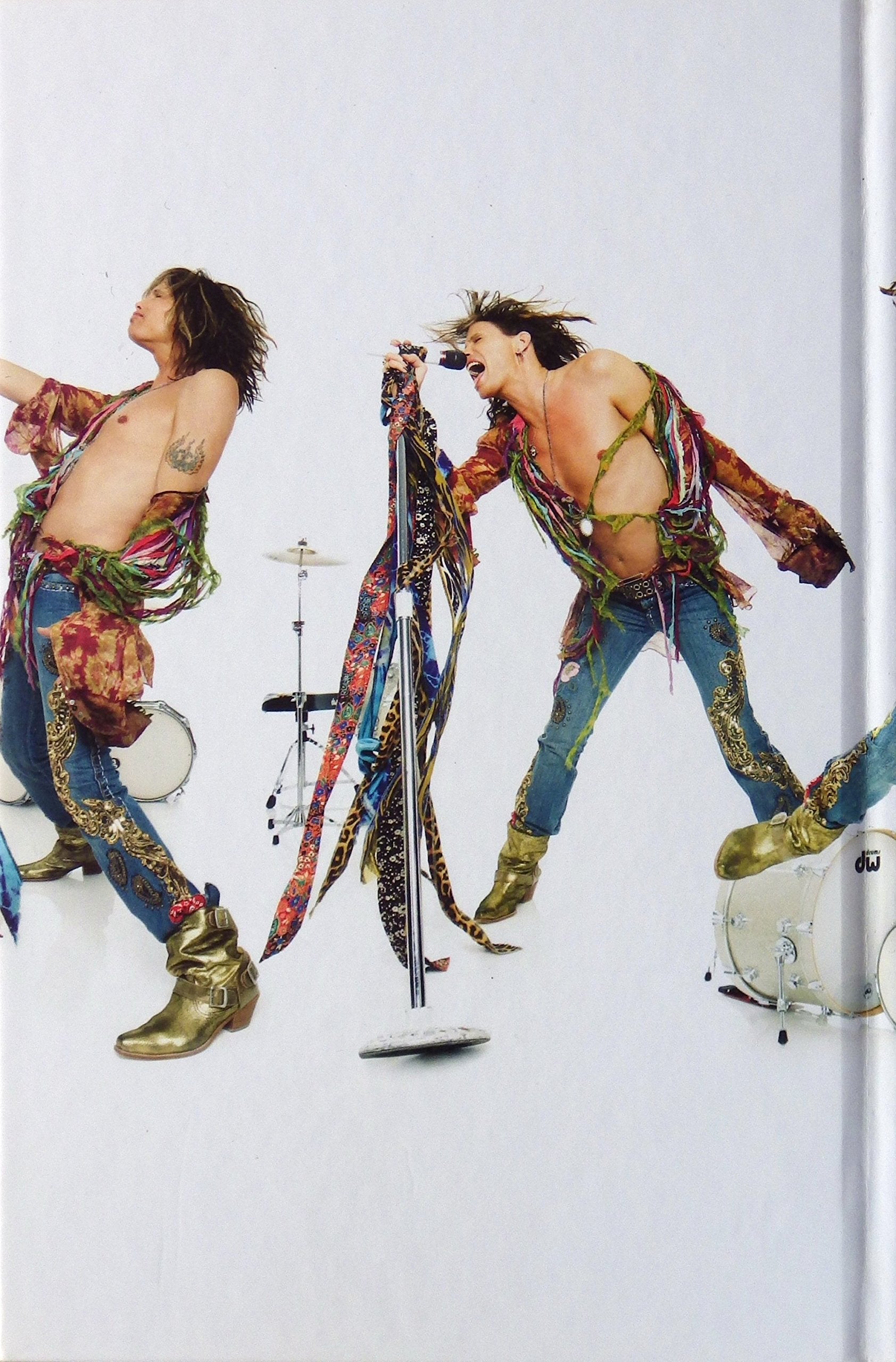 Does the Noise in My Head Bother You?: A Rock 'n' Roll Memoir used book depot