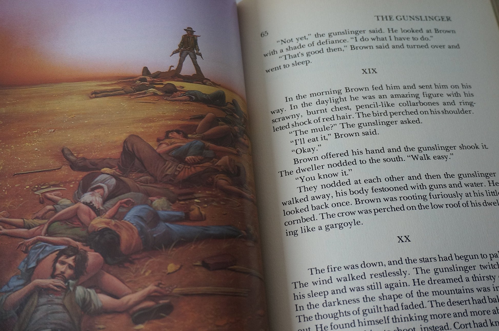 The Gunslinger (The Dark Tower, Book 1) used book depot