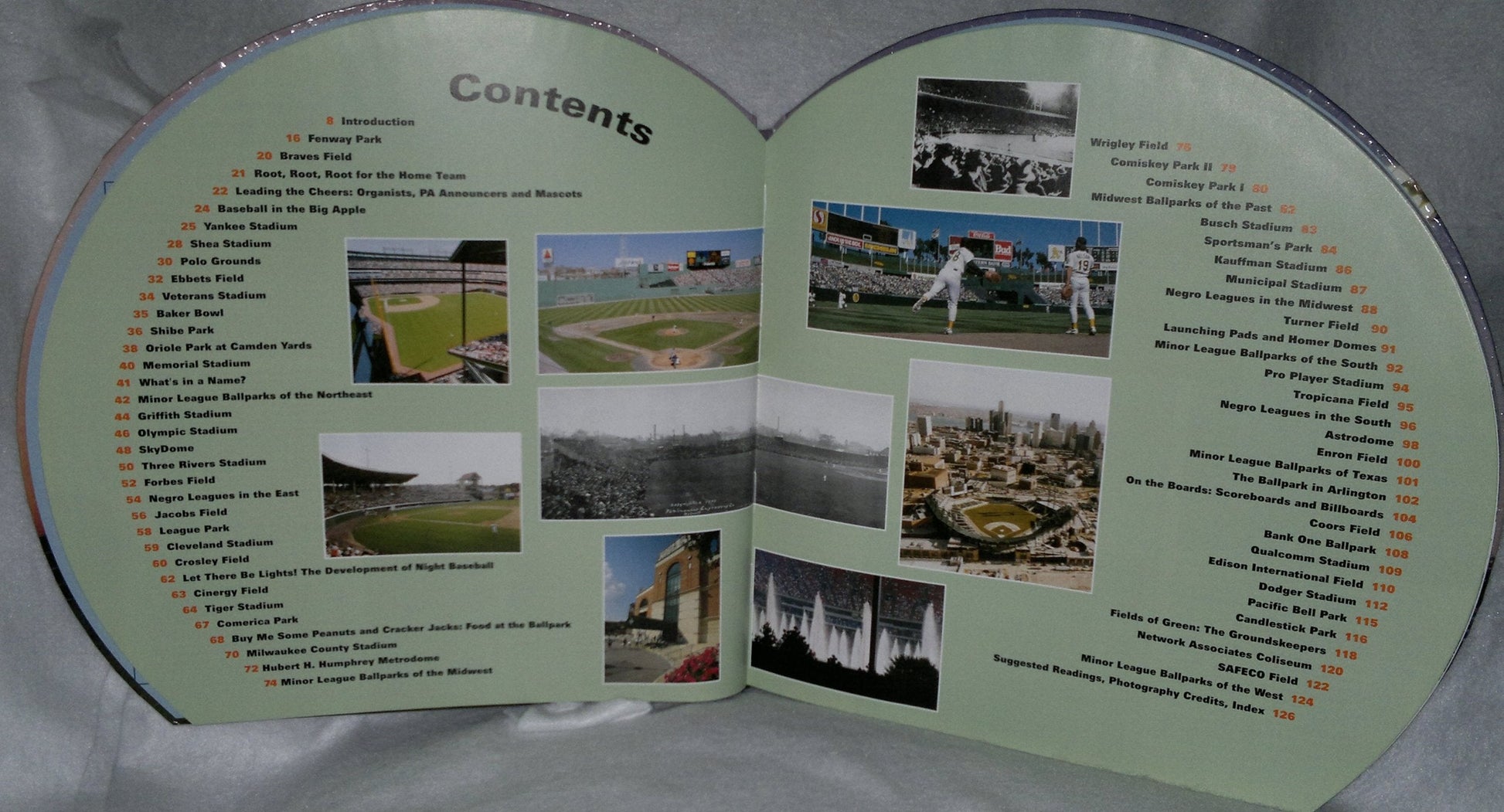Take Me Out to the Ballpark: An Illustrated Guide to Baseball Parks Past & Present used book depot