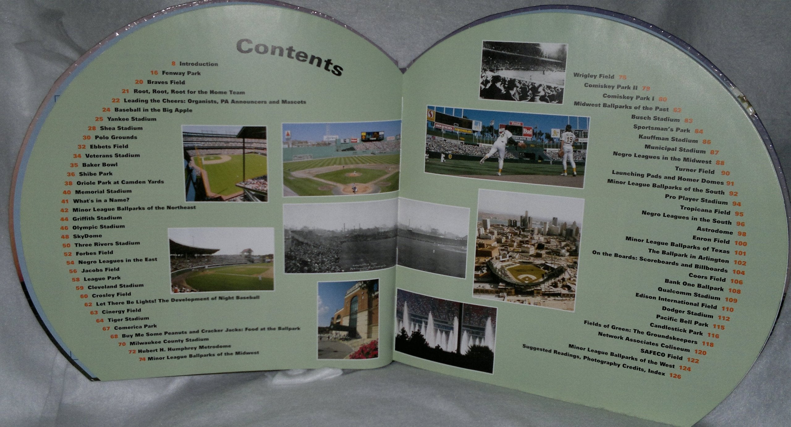 Take Me Out to the Ballpark: An Illustrated Guide to Baseball Parks Past & Present used book depot