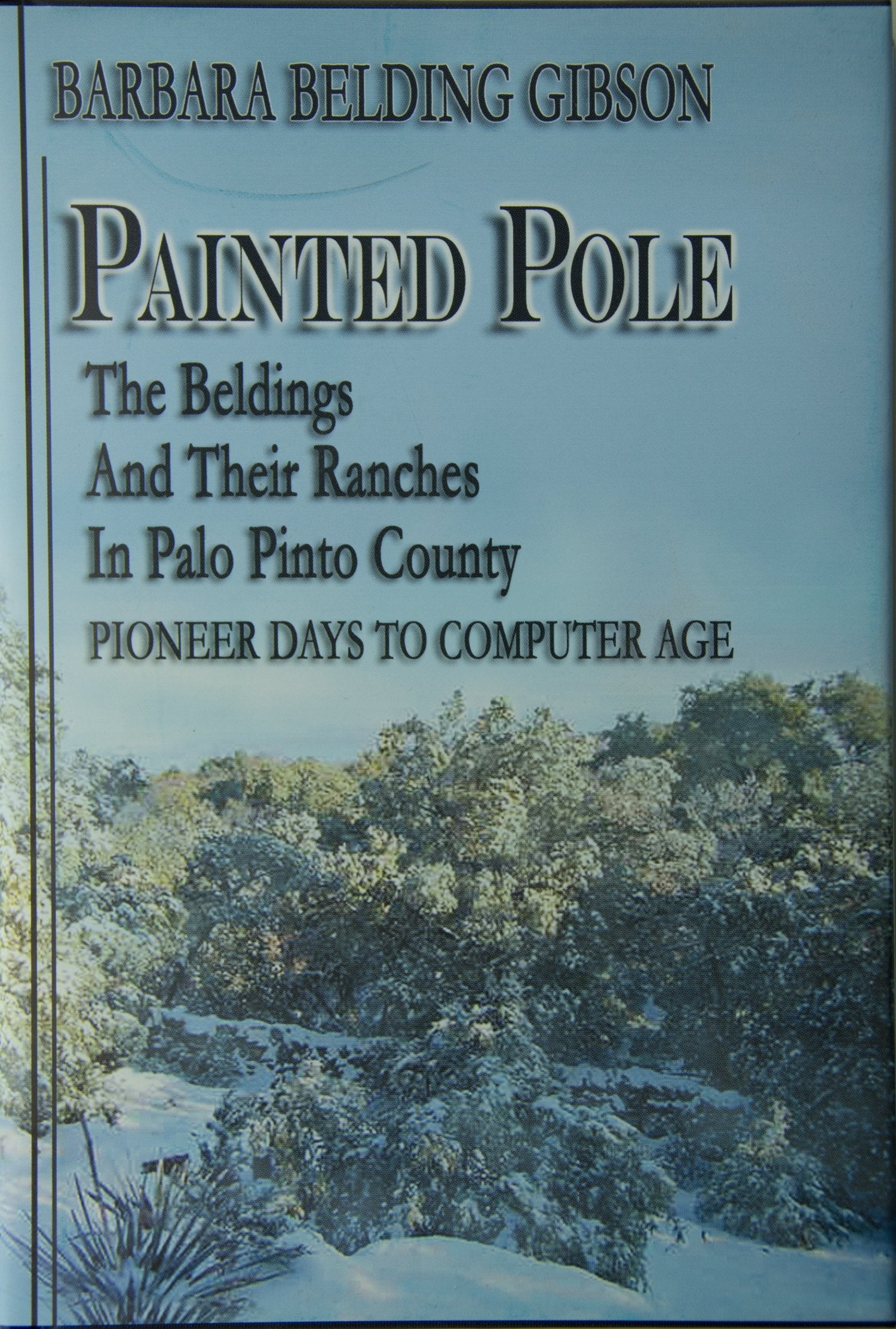 Painted Pole: The Beldings and Their Ranches in Palo Pinto County, Pioneer Days to Computer Age used book depot