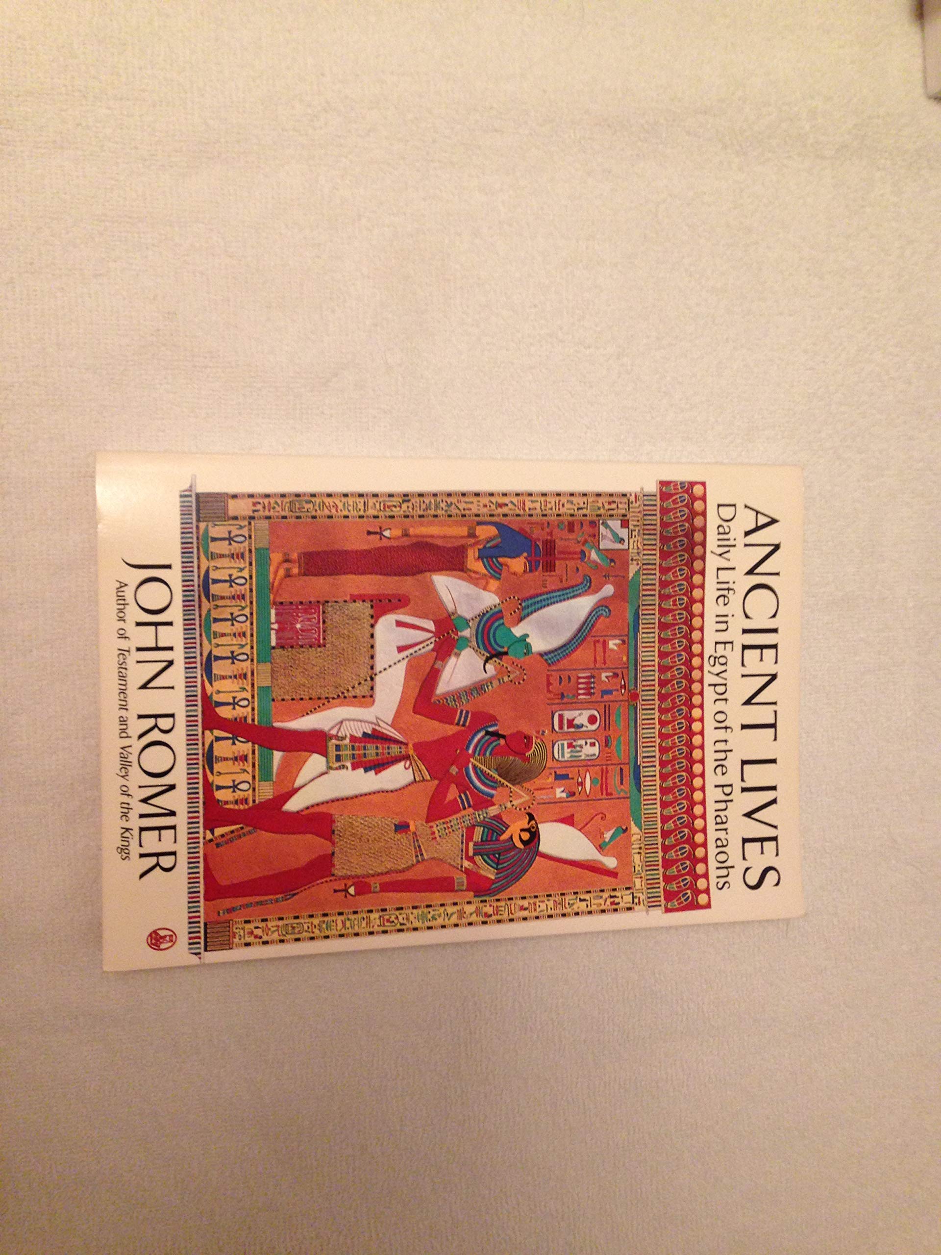 Ancient Lives: Daily Life in Egypt of the Pharaohs used book depot