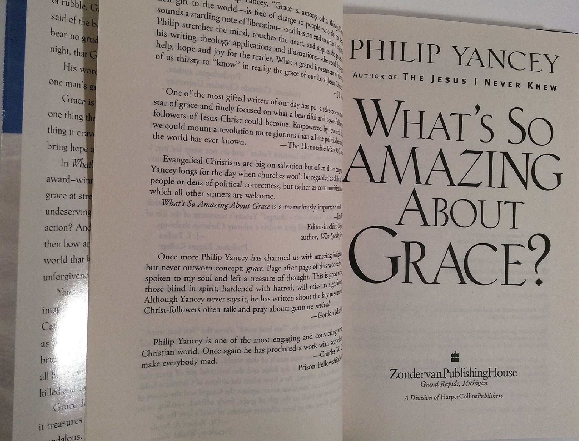 What's So Amazing About Grace? used book depot