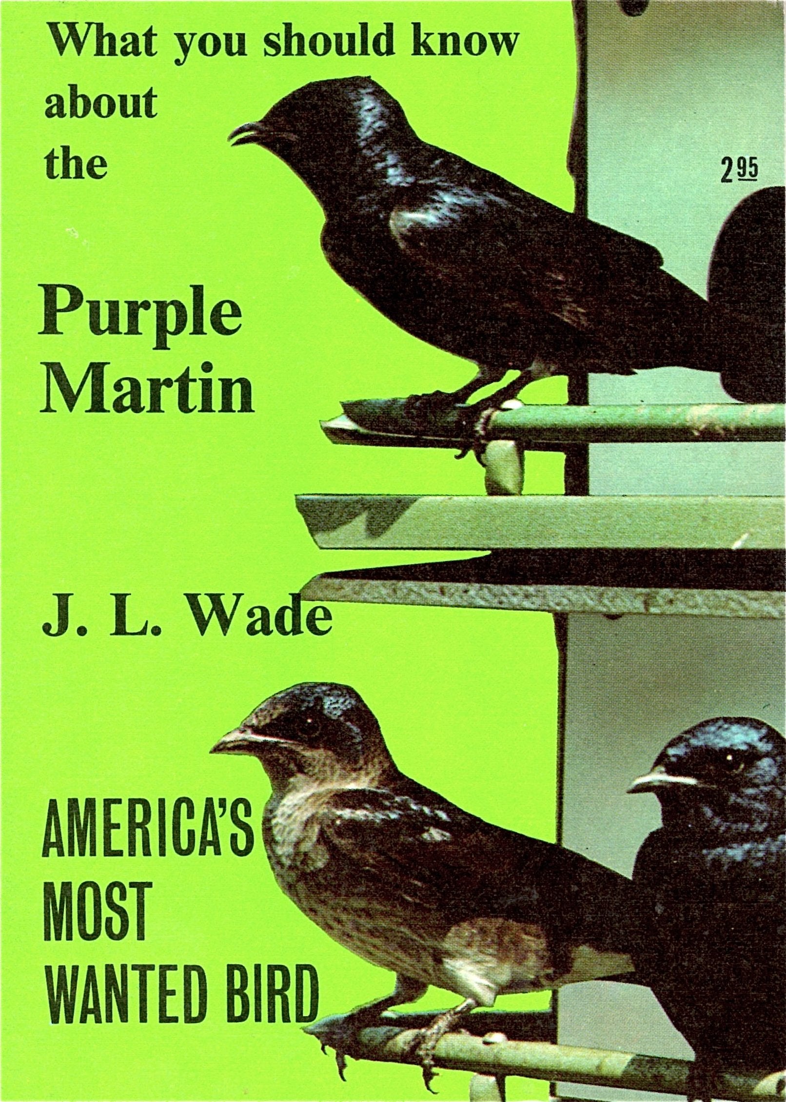 What You Should Know About the Purple Martin, used book depot