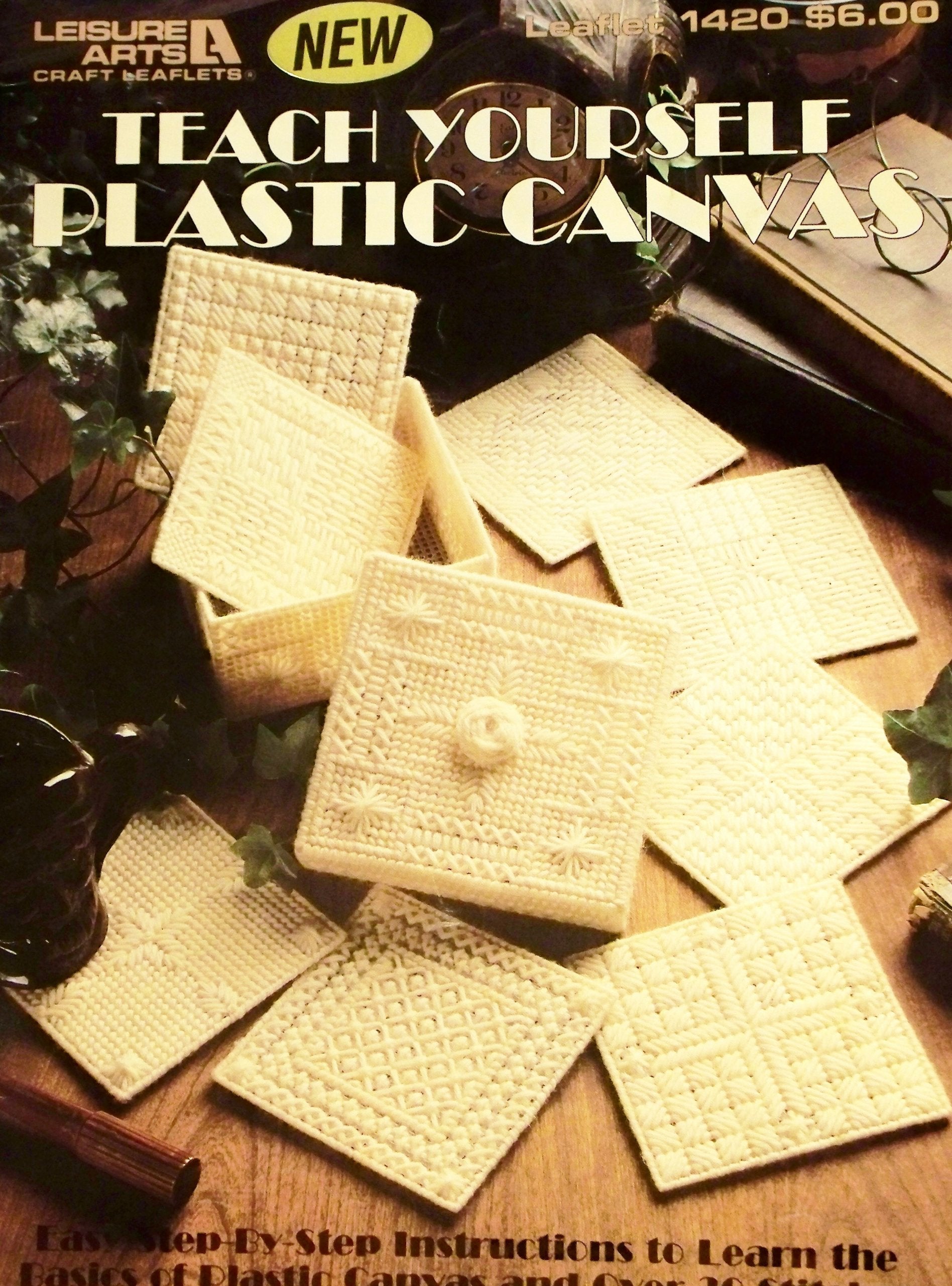 Teach Yourself Plastic Canvas used book depot