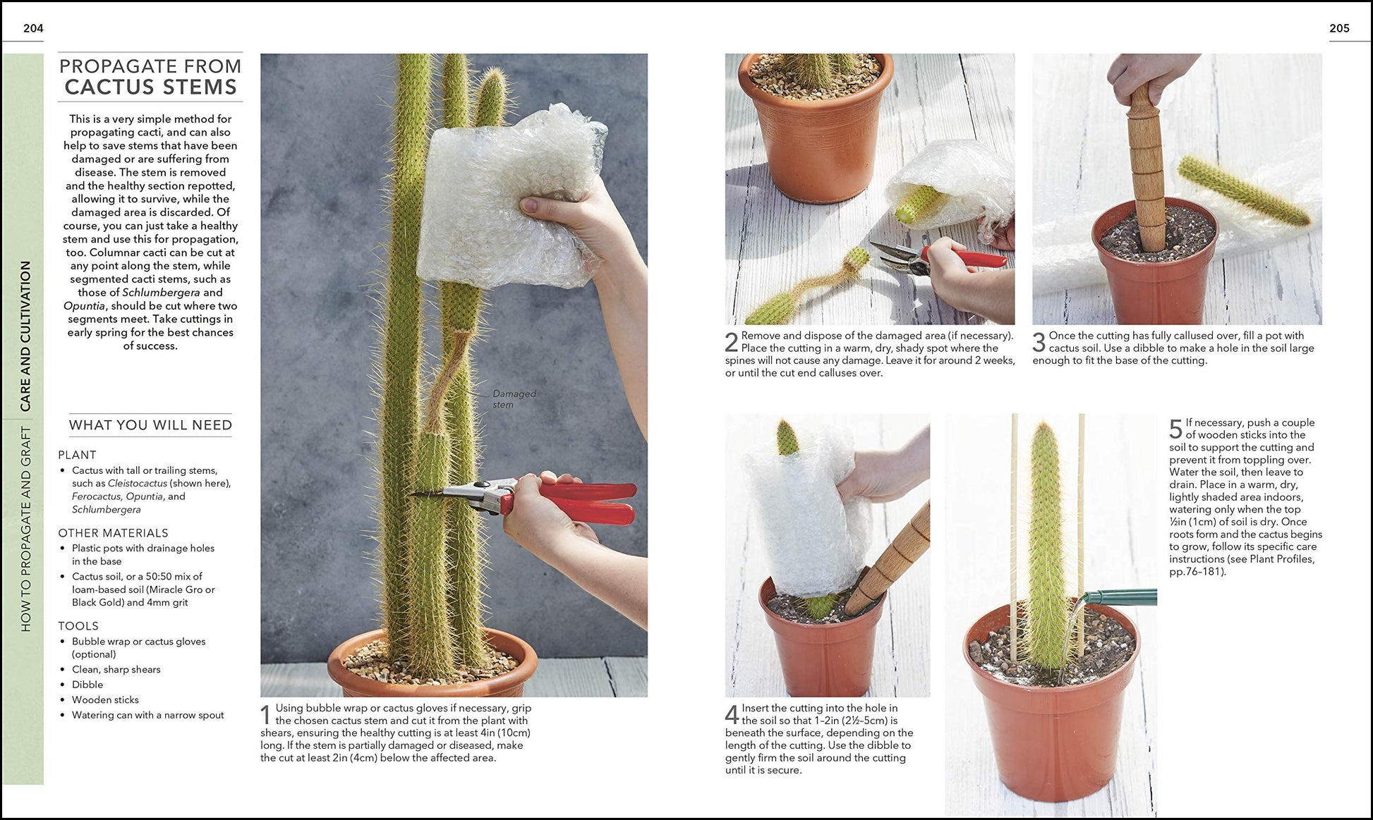 Practical Cactus and Succulent Book: The Definitive Guide to Choosing, Displaying, and Caring for more than 200 Cacti used book depot