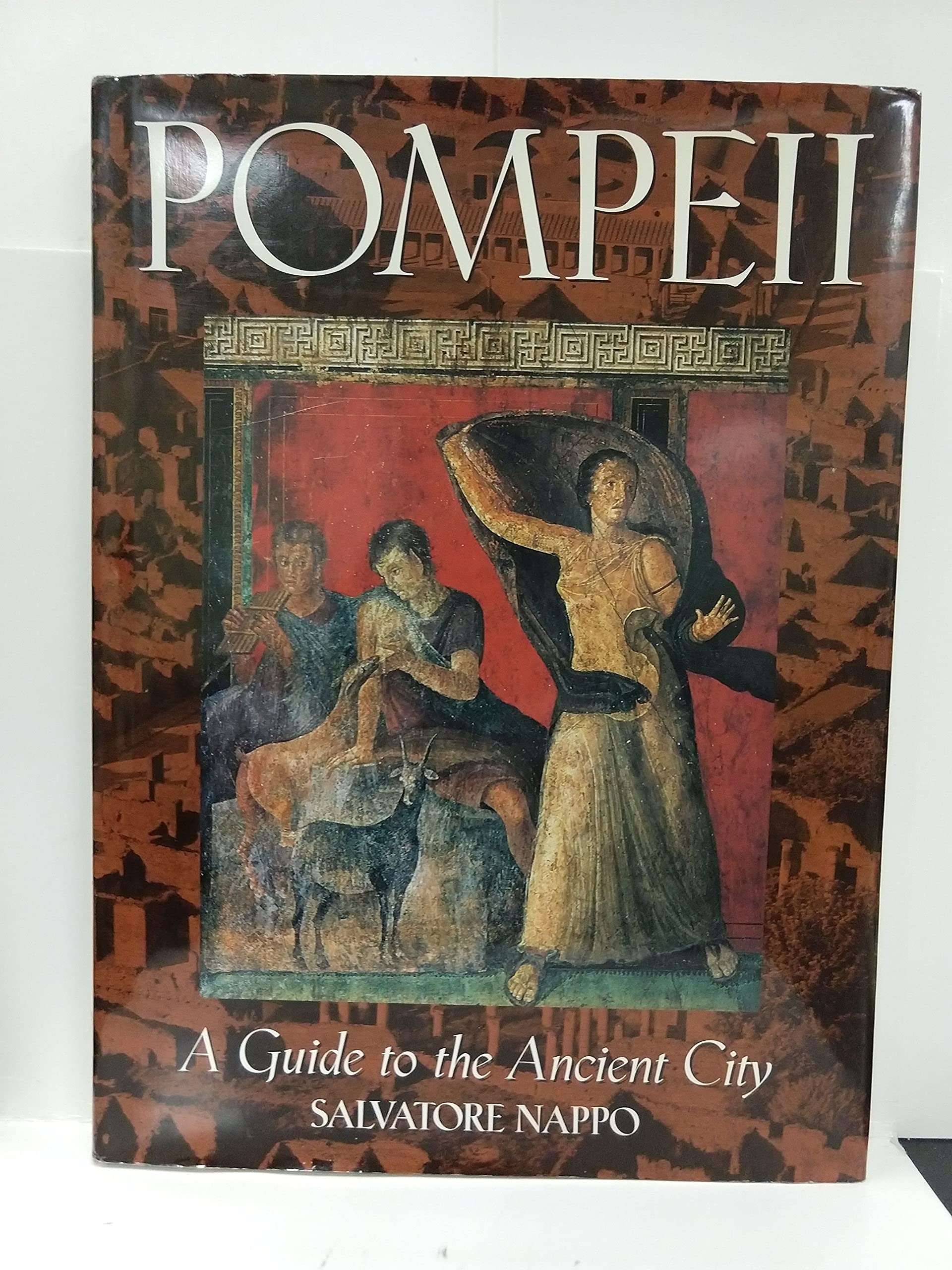 Pompeii: A guide to the ancient city used book depot