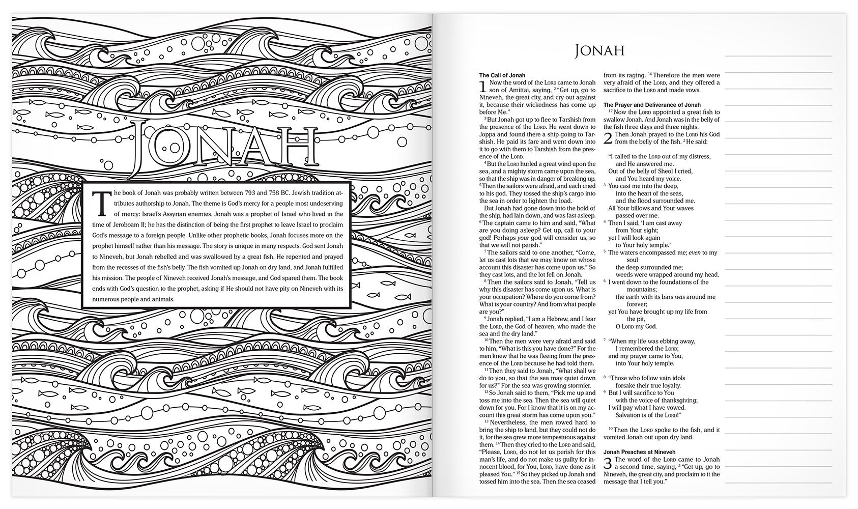 The MEV Promises of God Creative Journaling Bible: Modern English Version used book depot