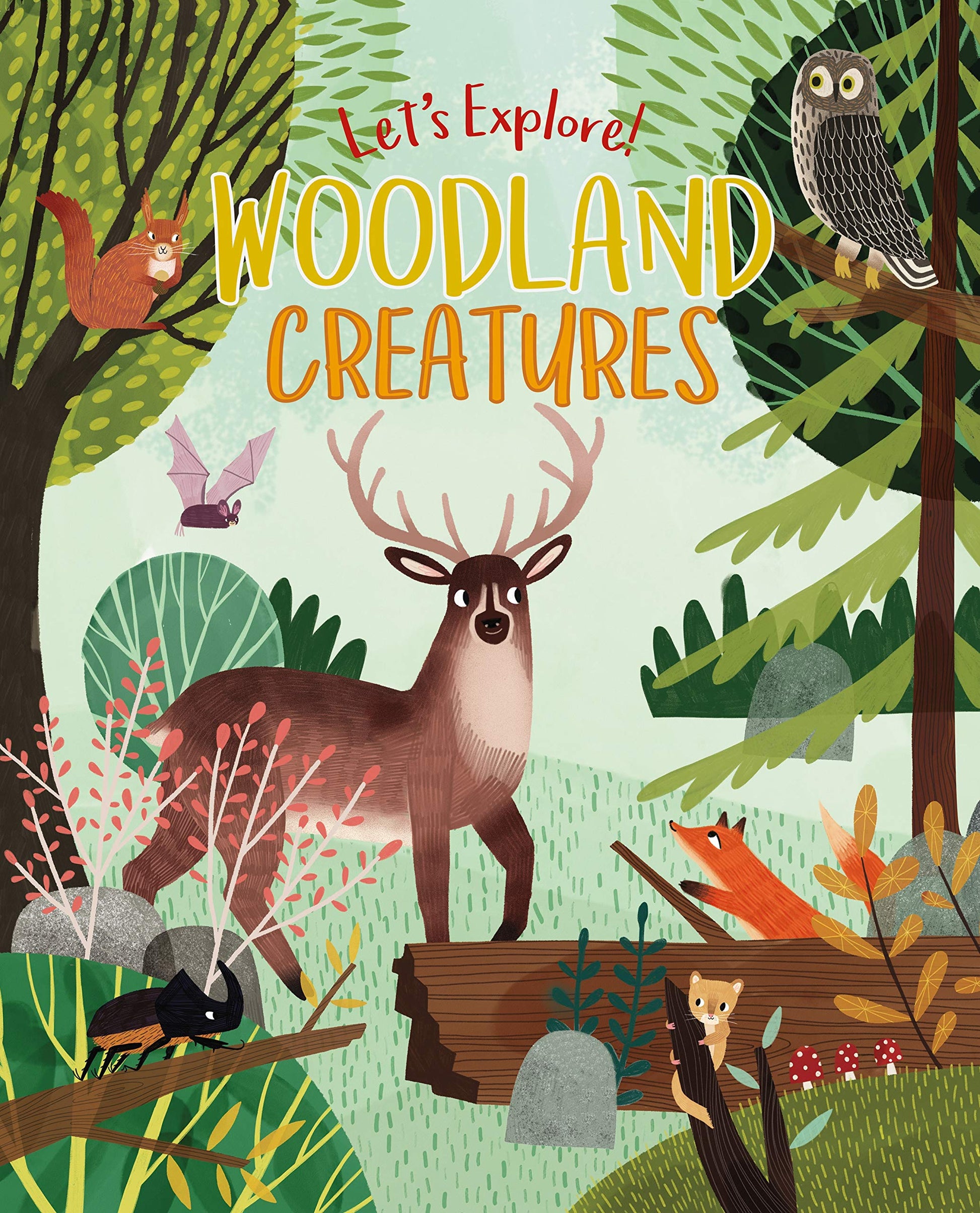 Let's Explore! Woodland Creatures (Let's Explore!, 2) used book depot
