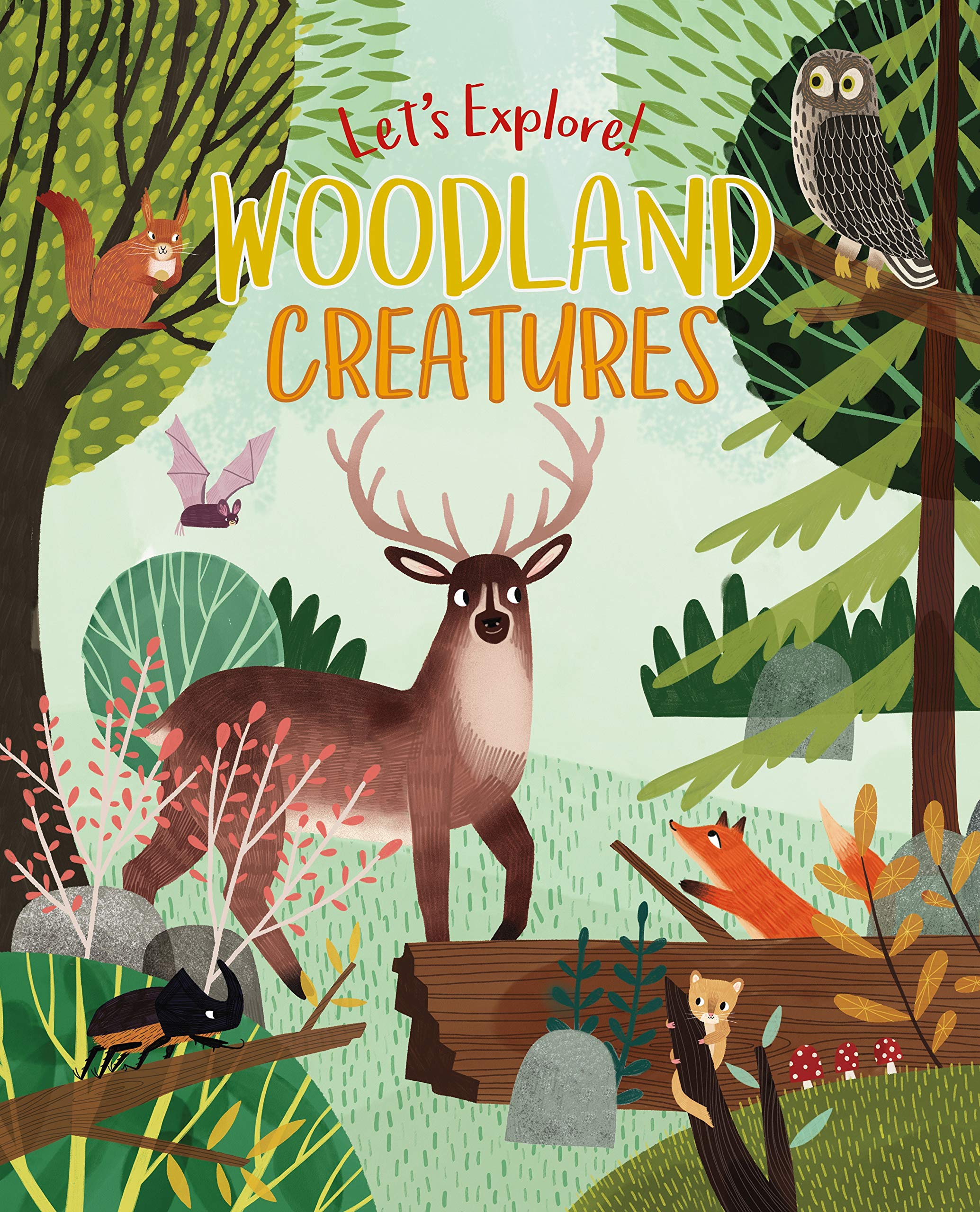 Let's Explore! Woodland Creatures (Let's Explore!, 2) used book depot