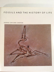 Fossils And The History Of Life (Scientific American Library Series) used book depot