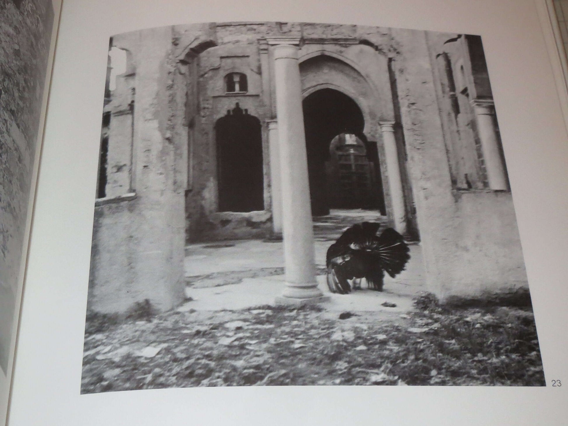 ROBERT RAUSCHENBERG used book depot