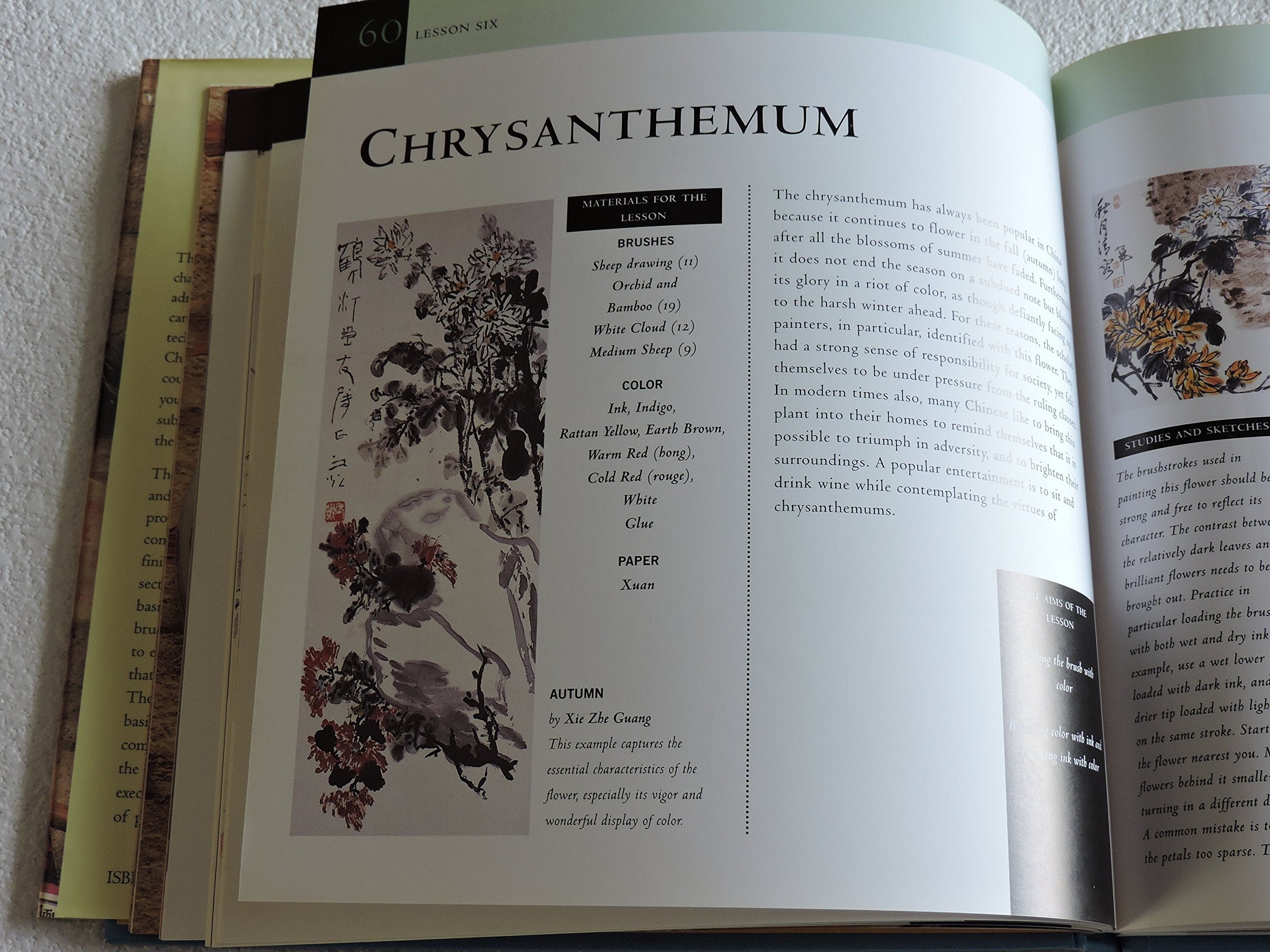 Oriental Painting Course: "A Structured, Practical Guide to Painting Skills and Techniques Of..." used book depot