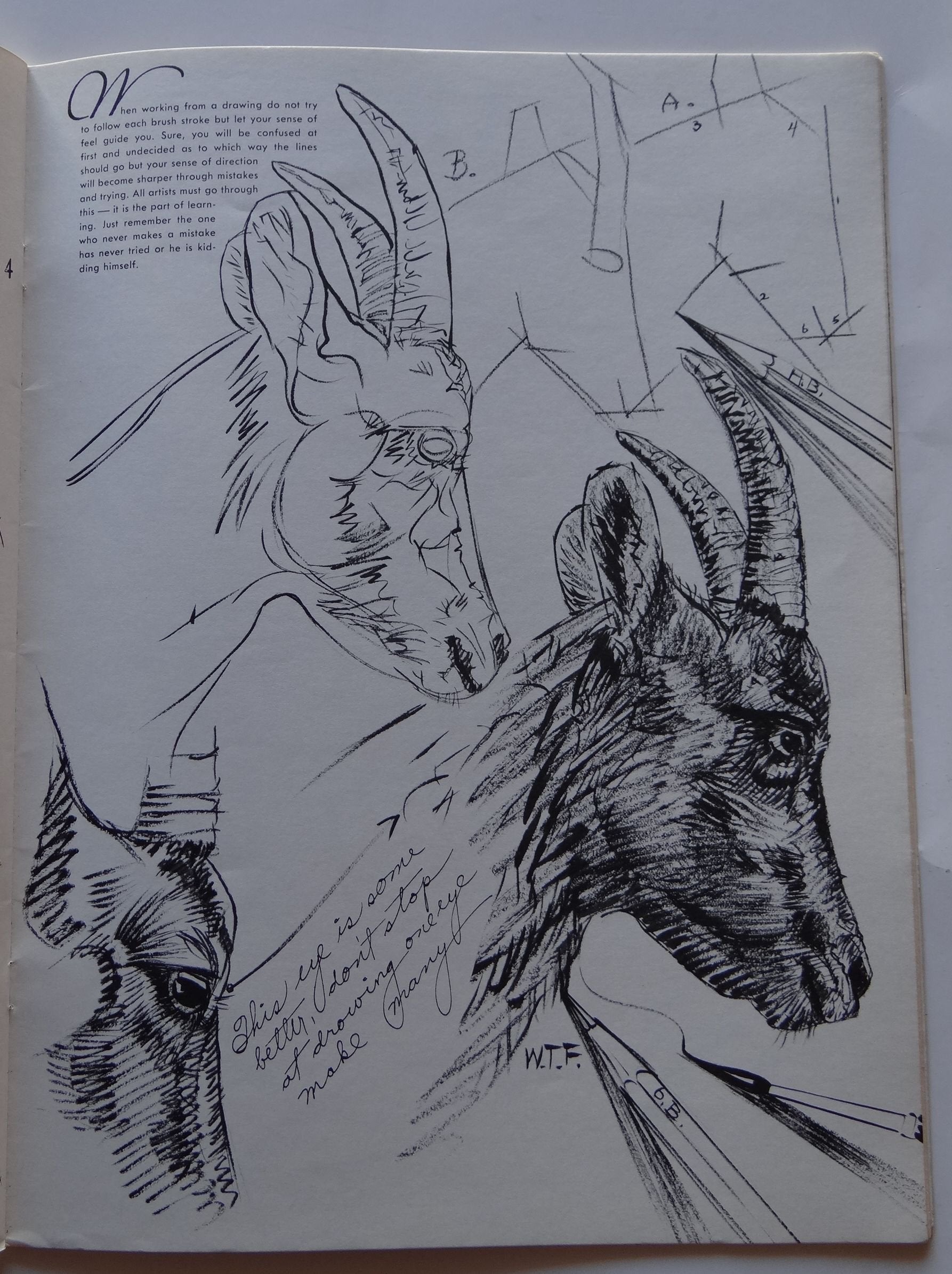 HOW TO DRAW (New Edition): Butterflies, Flowers, Trees, Shrubs, Boats, Animals, Birds, Landscapes, Still-life, Heads, Hands, Lettering (Walter Foster's How to Draw Books, 2)