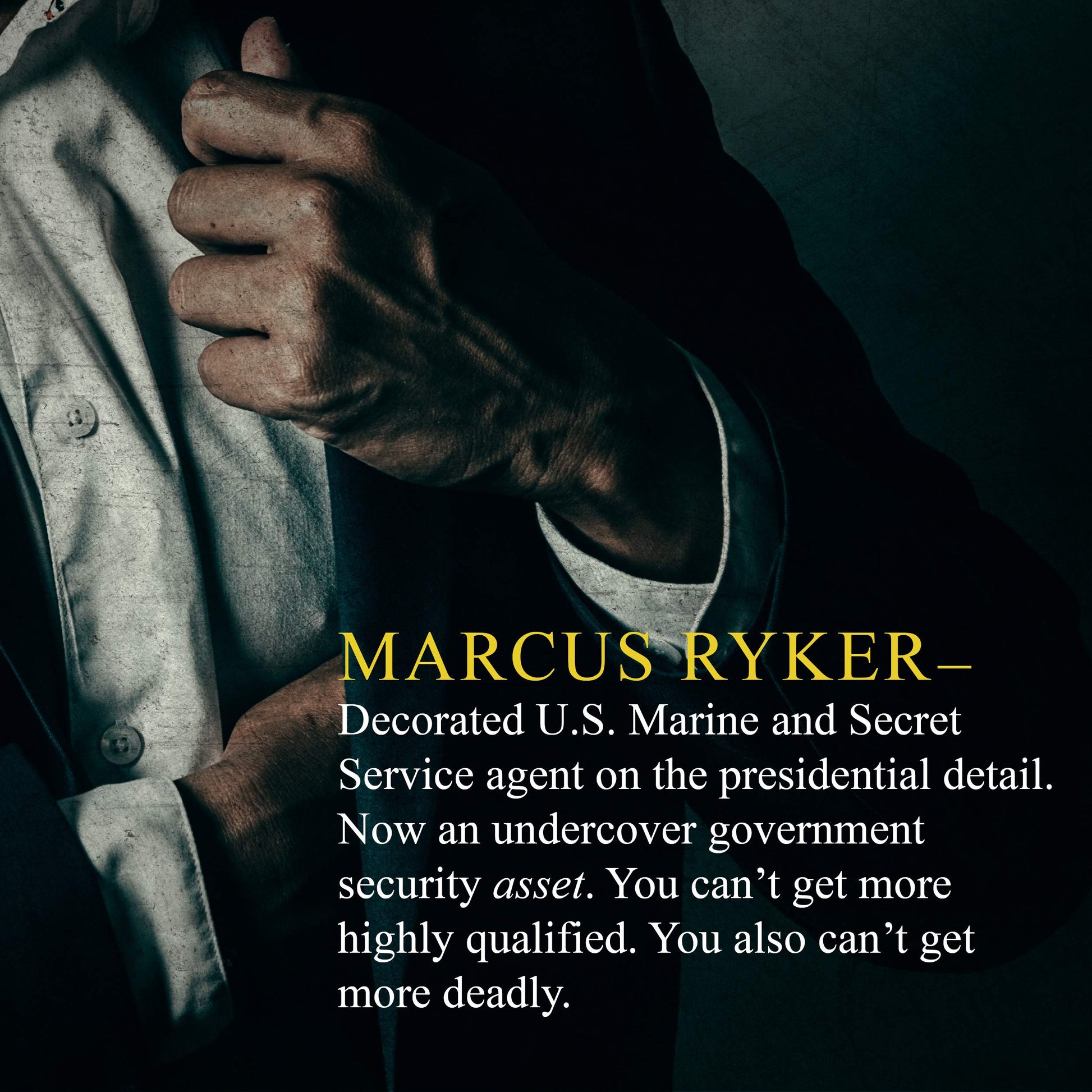 The Persian Gamble: A Marcus Ryker Series Political and Military Action Thriller: (Book 2) used book depot