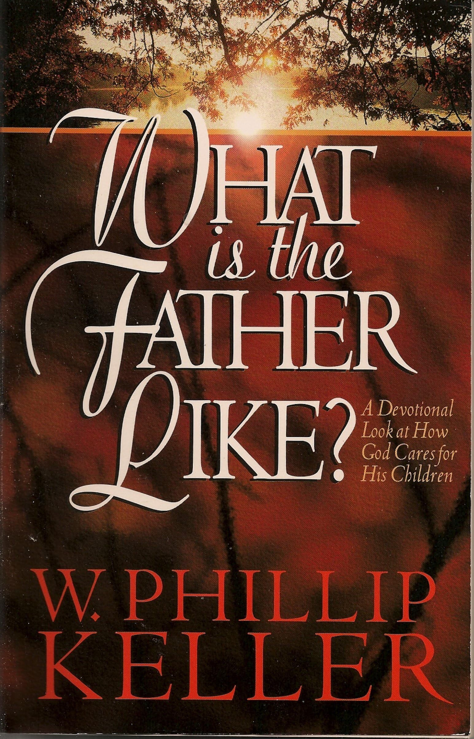 What Is the Father Like? - A Devotional Look at How God Cares for His Children