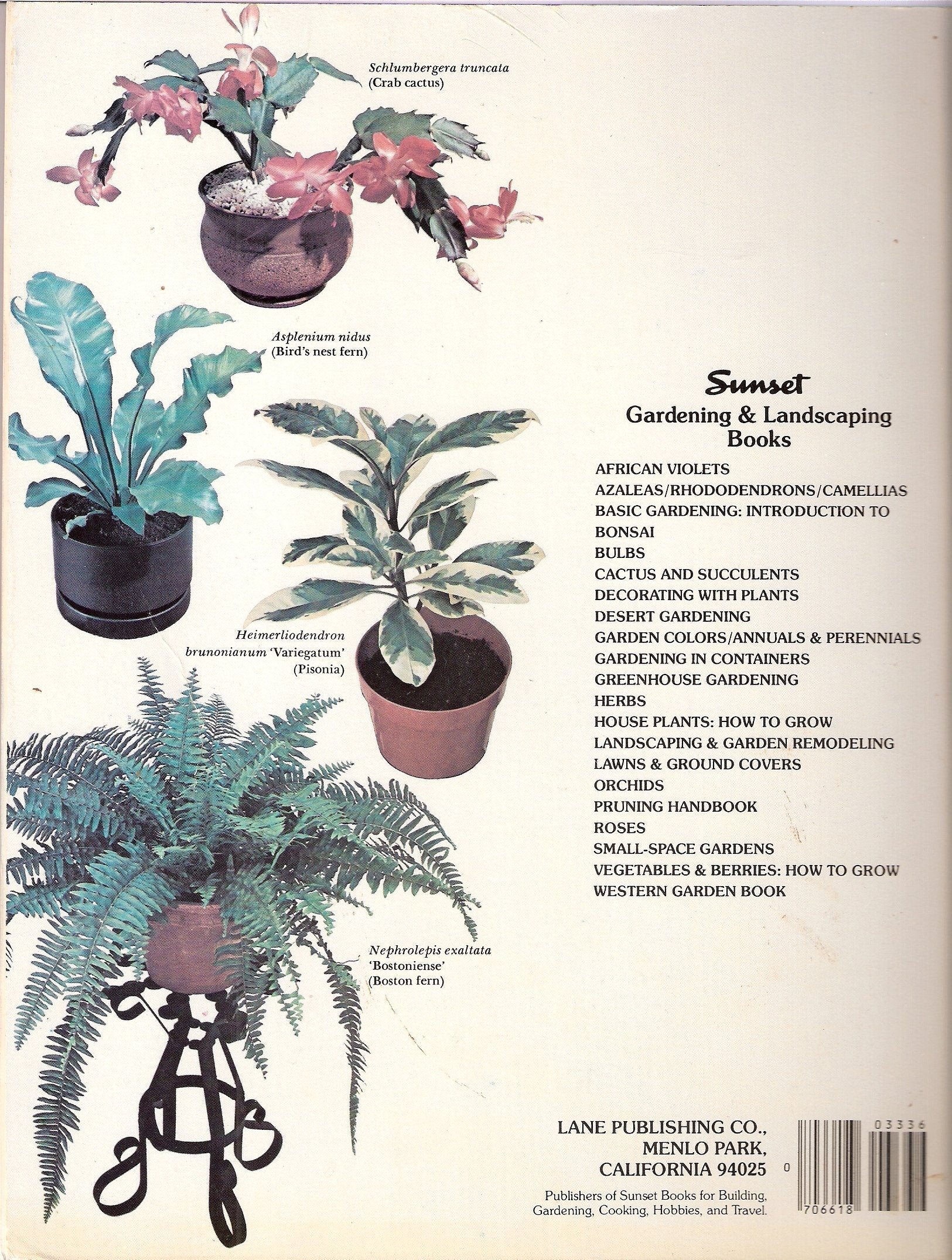 How to Grow House Plants (A Sunset Book) used book depot
