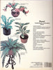 How to Grow House Plants A Sunset Book [Paperback] Kathryn Arthurs