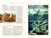 Atlas Obscura: An Explorer's Guide to the World's Hidden Wonders