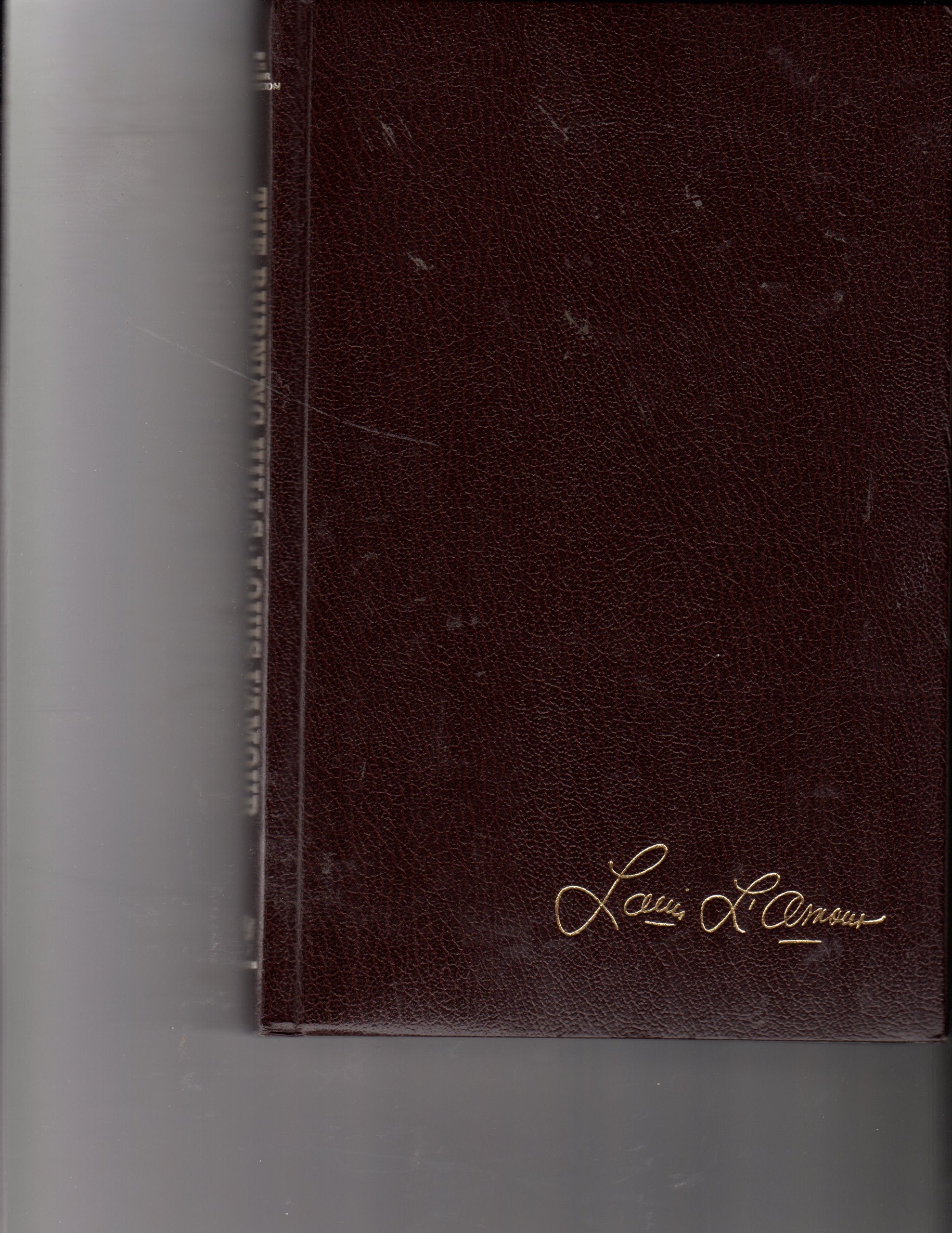 Burning Hills (The Louis L'Amour Collection) used book depot