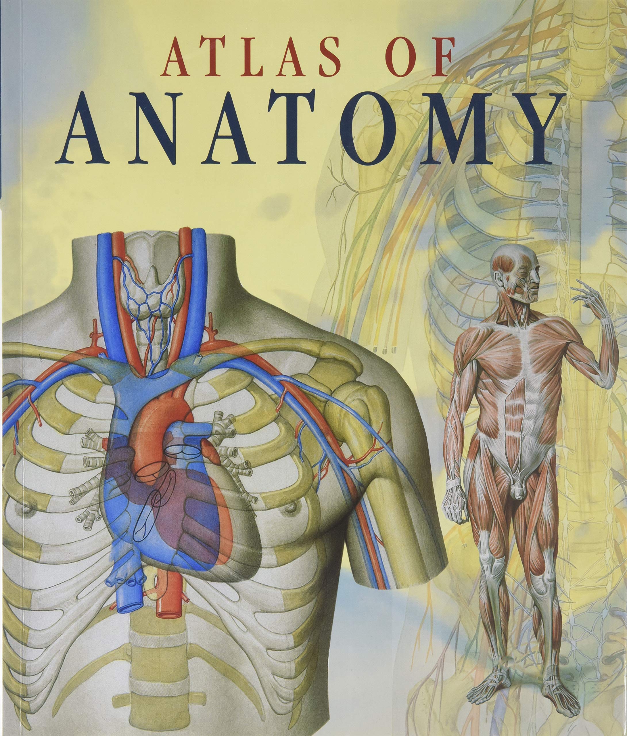 Atlas of Human Anatomy used book depot