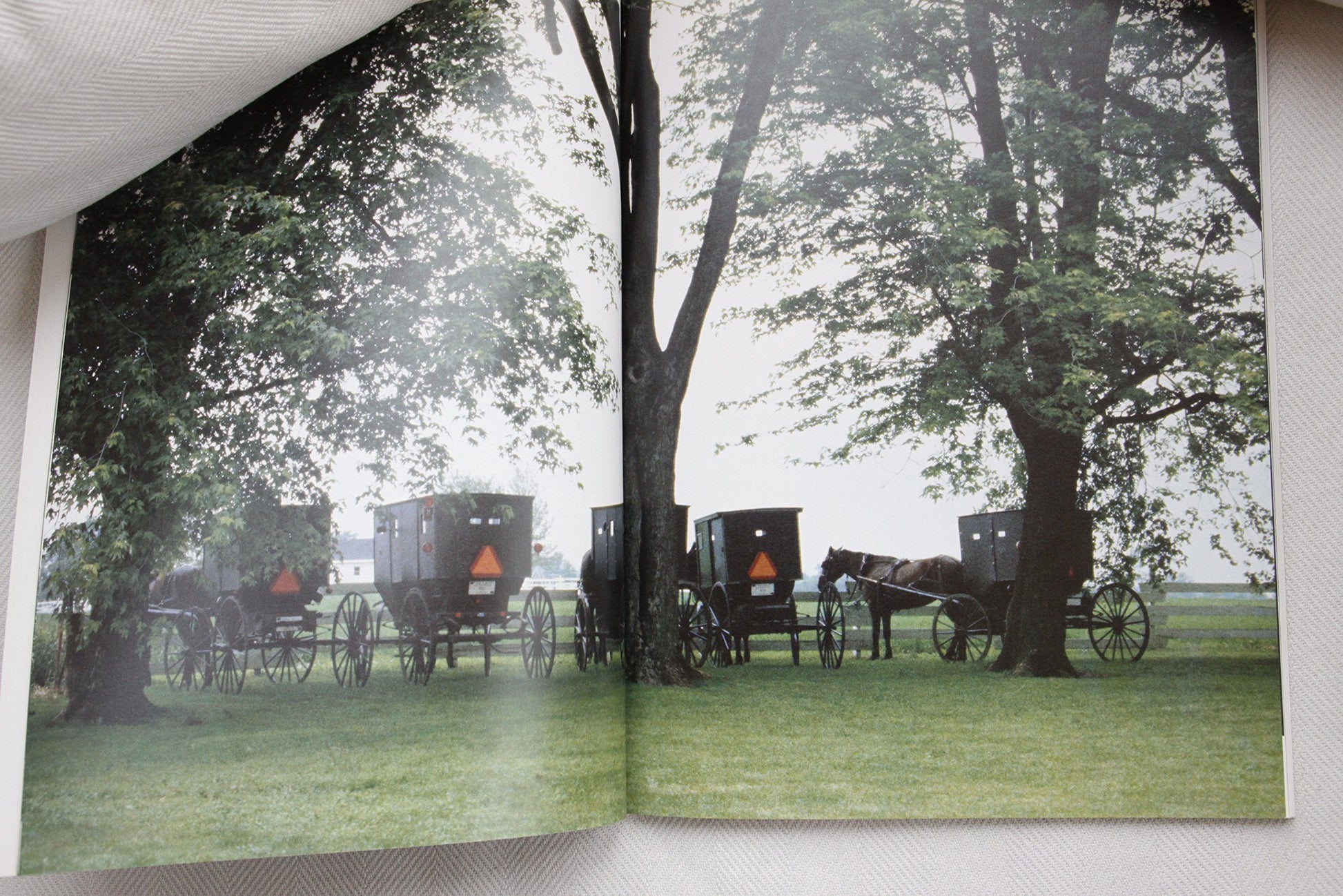 Quilts From the Indiana Amish: A Regional Collection used book depot