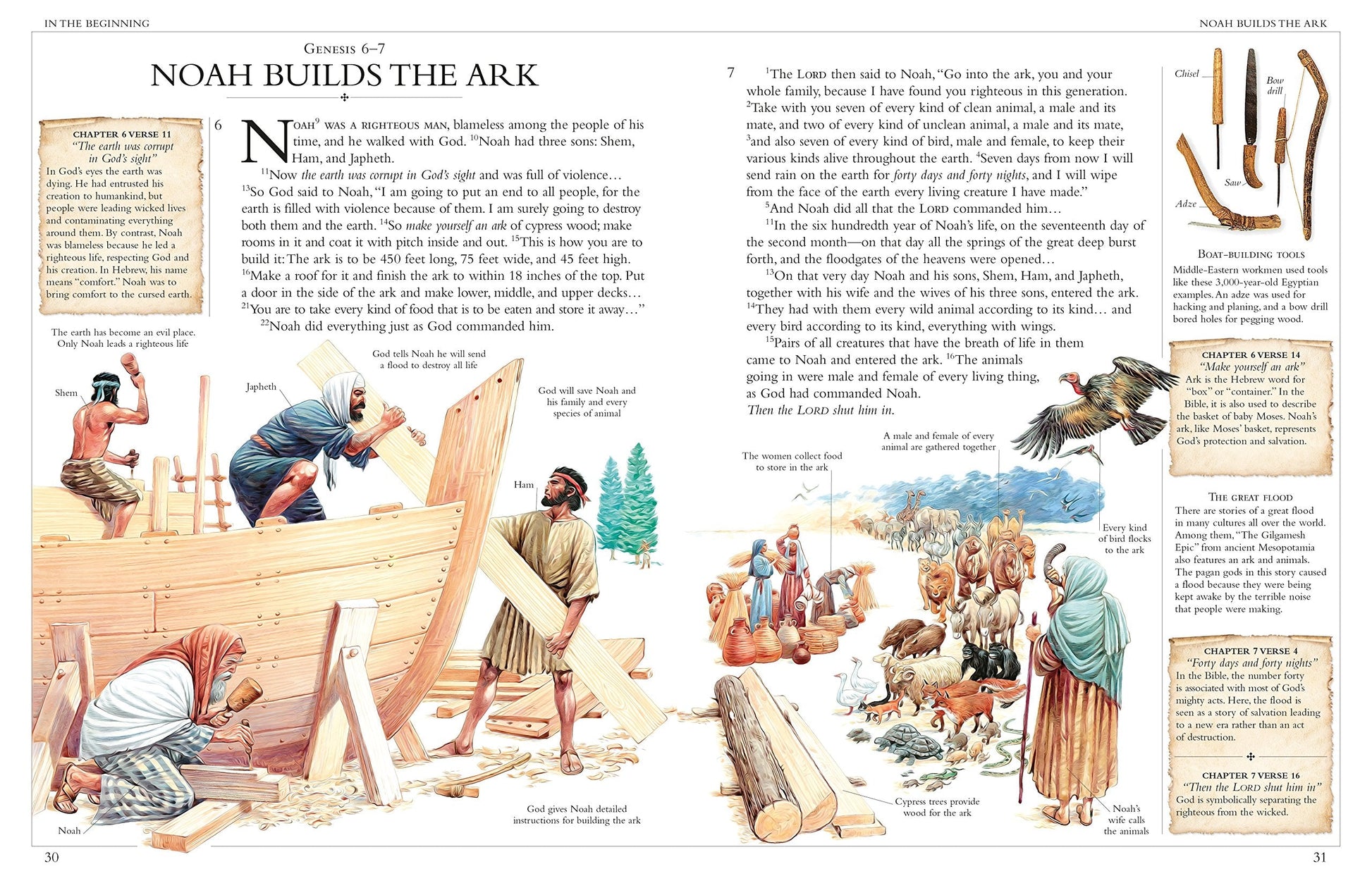 Illustrated Family Bible: Understanding the Greatest Story Ever Told (DK Bibles and Bible Guides) used book depot