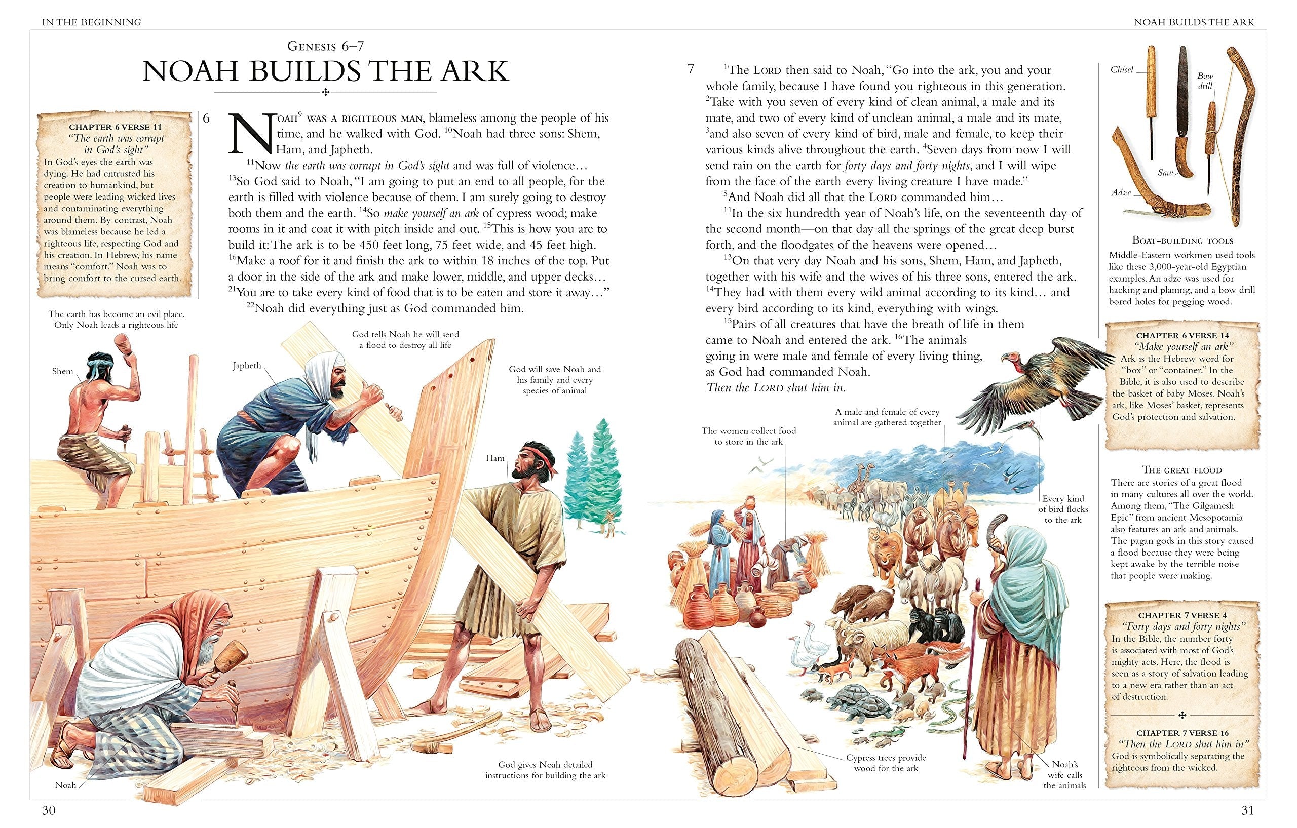 Illustrated Family Bible: Understanding the Greatest Story Ever Told (DK Bibles and Bible Guides) used book depot