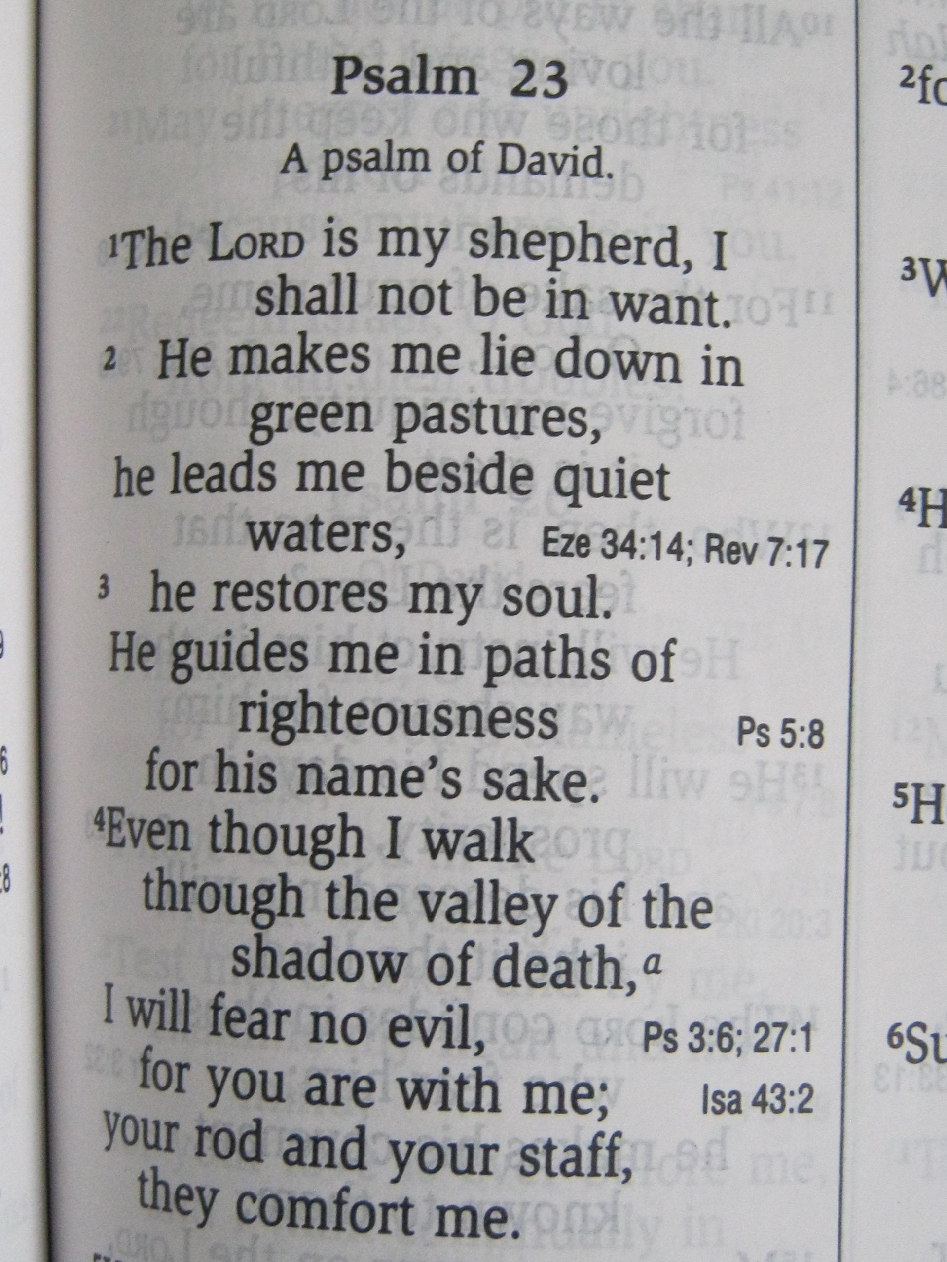 NIV Giant Print Reference Bible used book depot