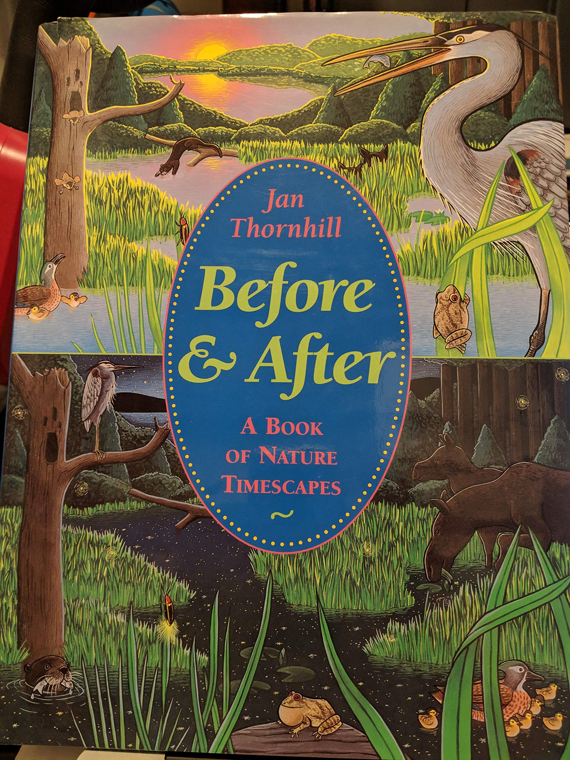 Before and After: A Book of Nature Timescapes used book depot