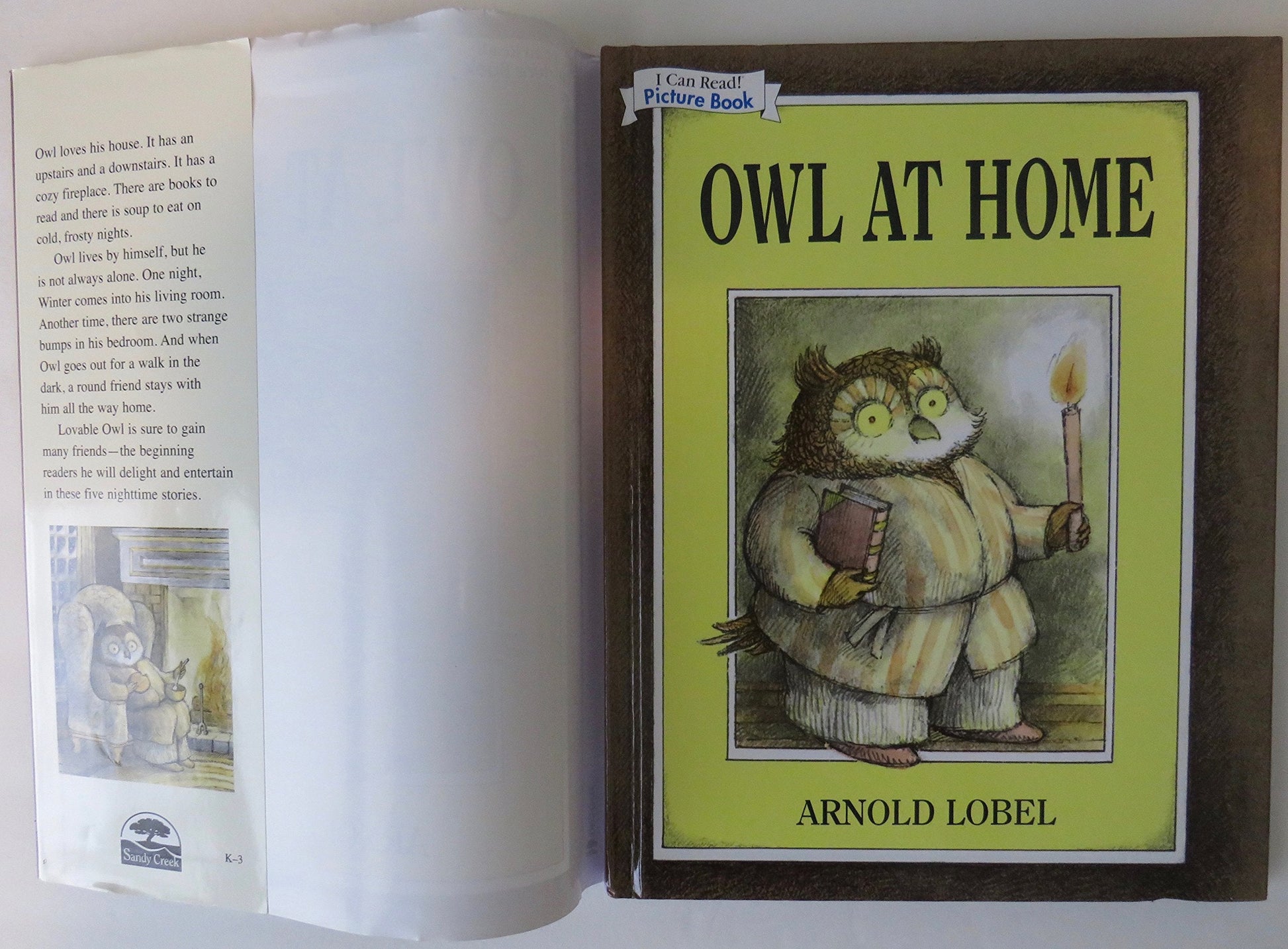 Owl at Home -- An I Can Read! Picture Book used book depot