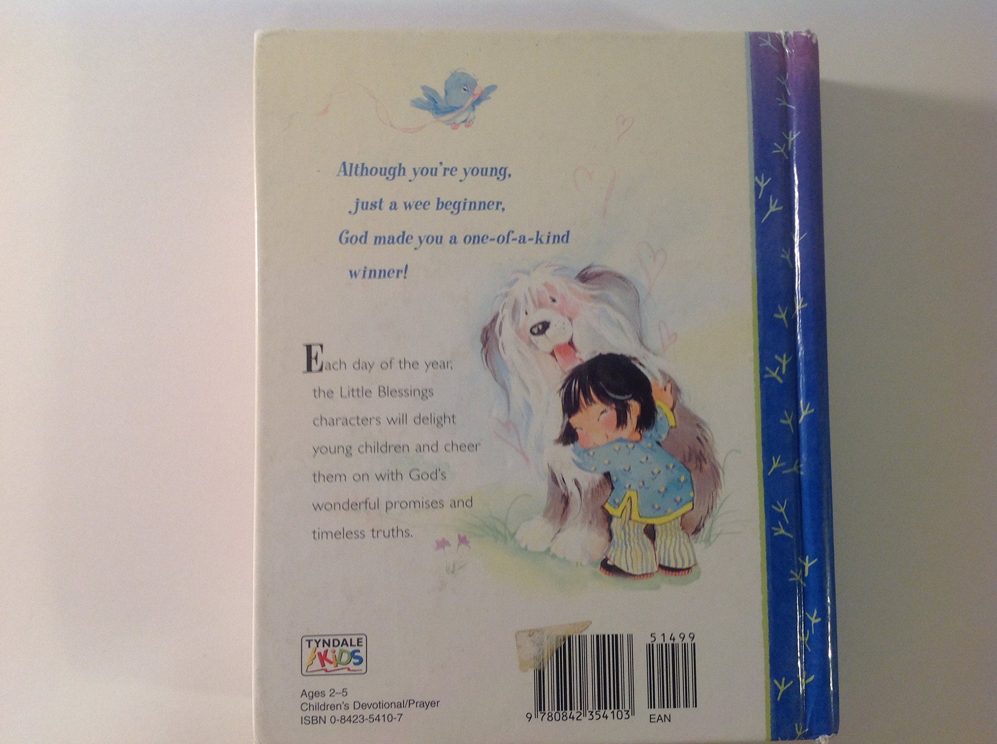 Blessings Every Day: 365 Simple Devotions for the Very Young (Little Blessings) used book depot
