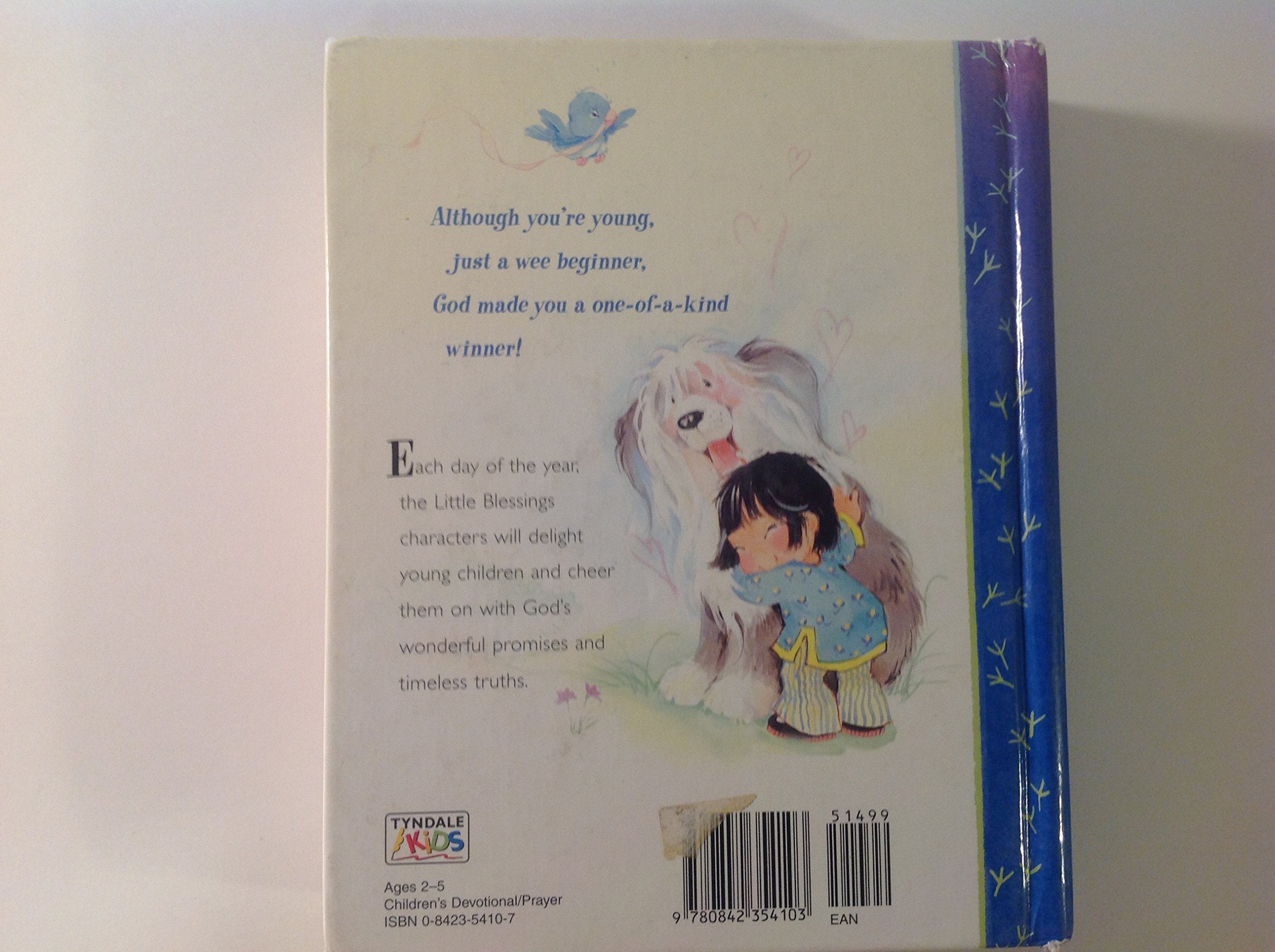 Blessings Every Day: 365 Simple Devotions for the Very Young (Little Blessings) used book depot