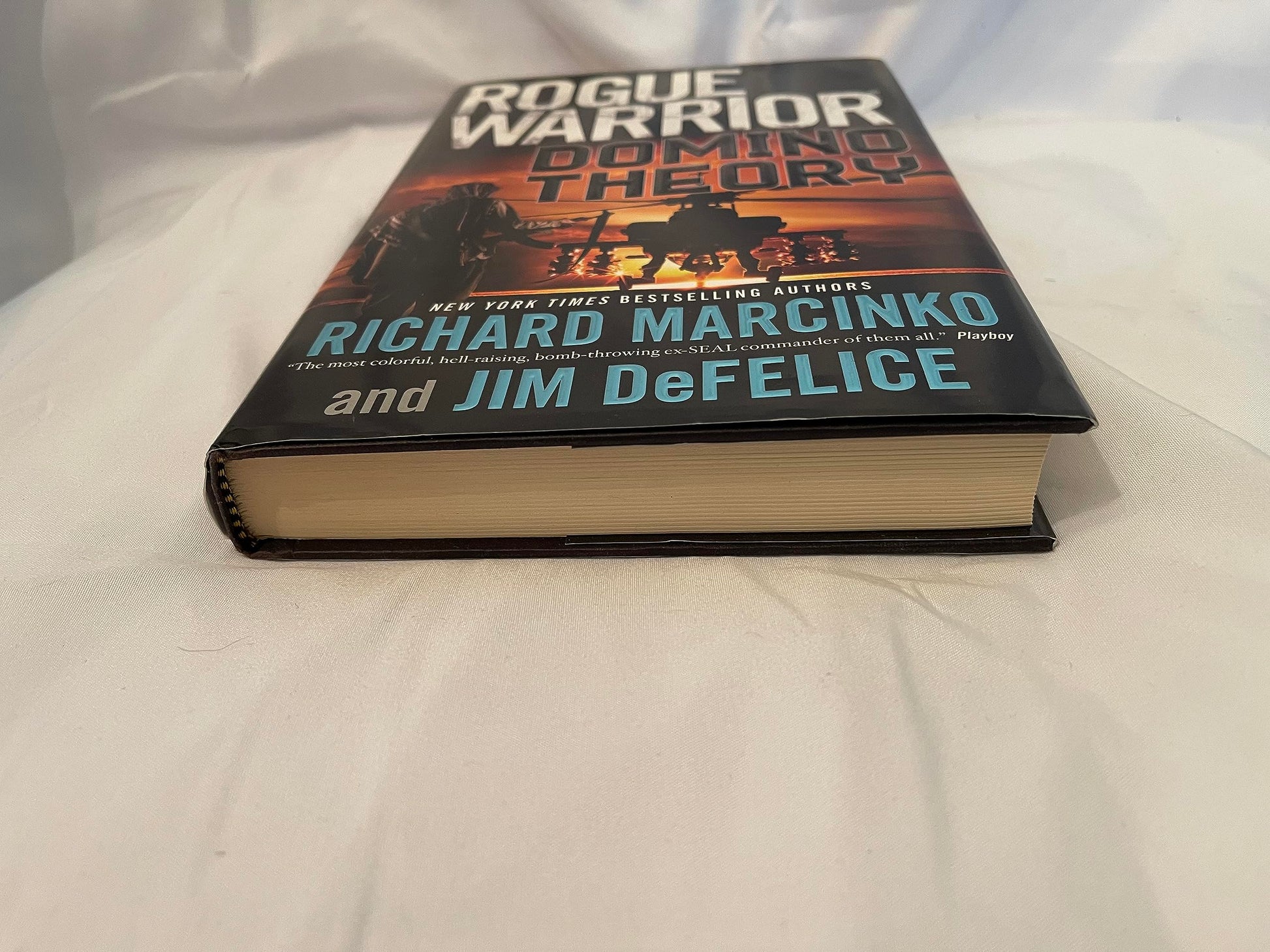 Rogue Warrior: Domino Theory used book depot