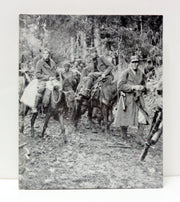 Partisans and Guerrillas (Time Life World War II, Vol. 12)