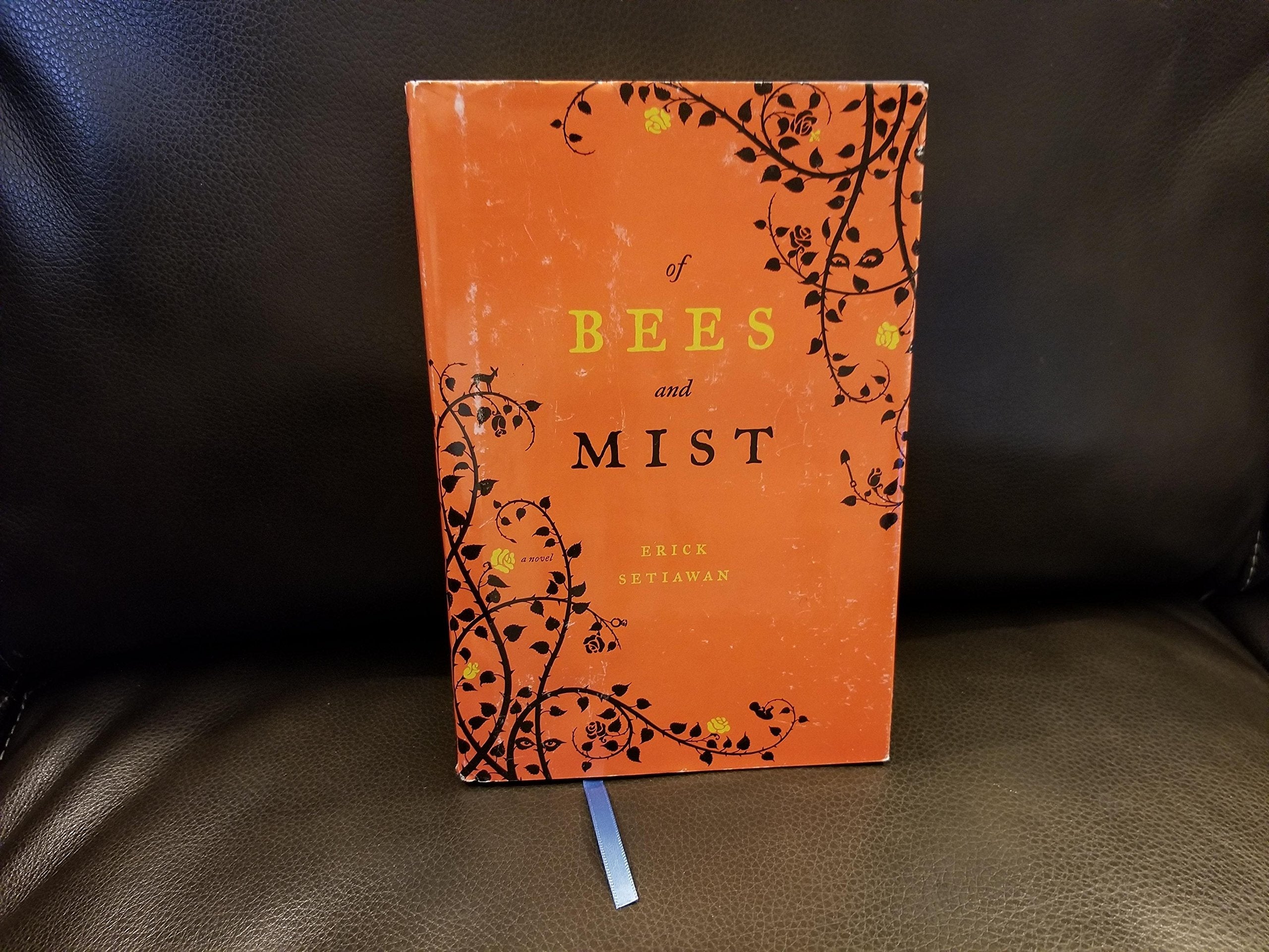 Of Bees and Mist: A Novel used book depot