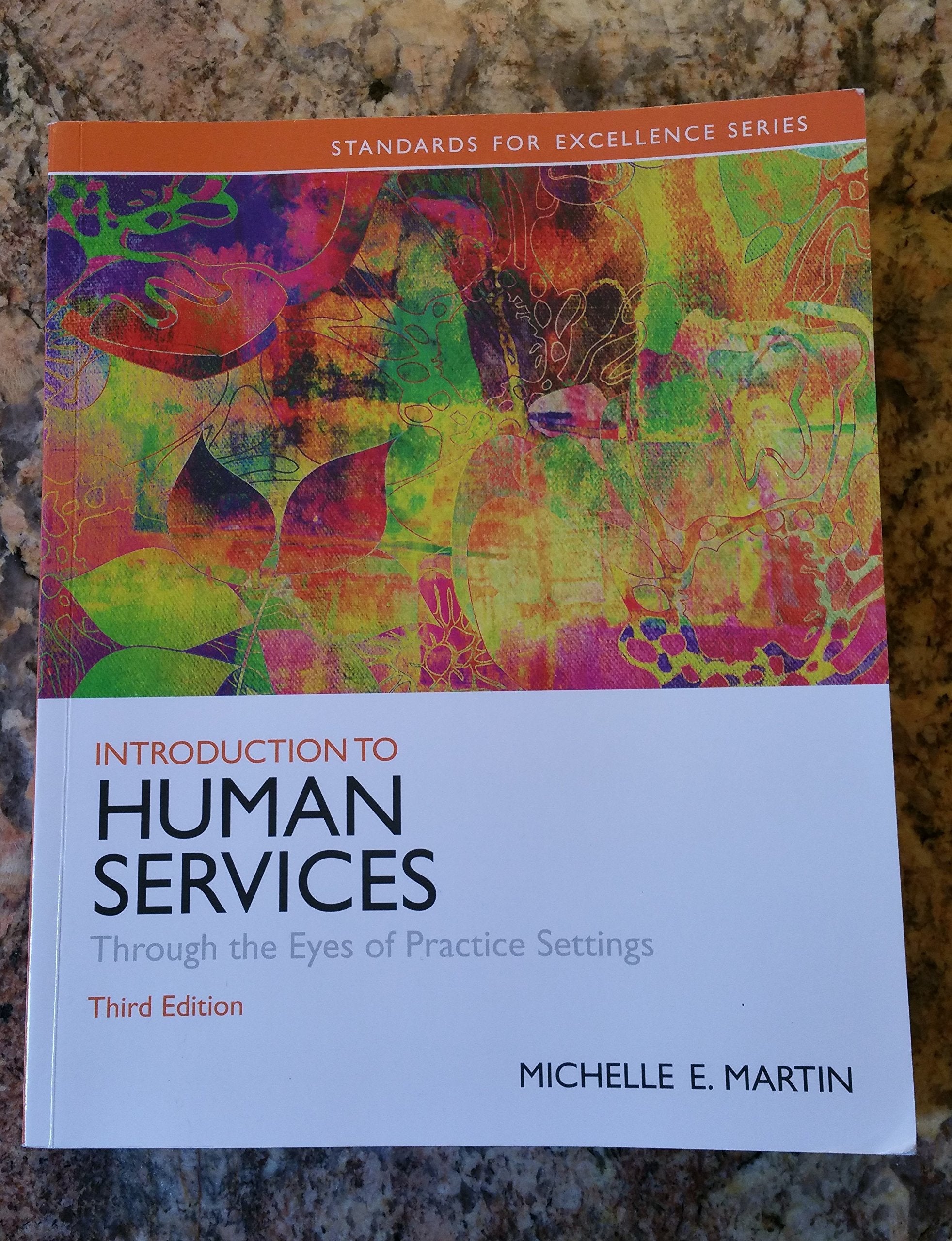 Introduction to Human Services: Through the Eyes of Practice Settings (3rd Edition) (Standards for Excellence) used book depot