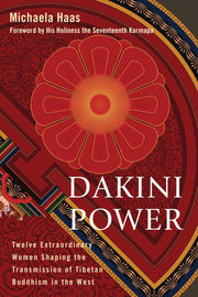 Dakini Power: Twelve Extraordinary Women Shaping the Transmission of Tibetan Buddhism in the West used book depot