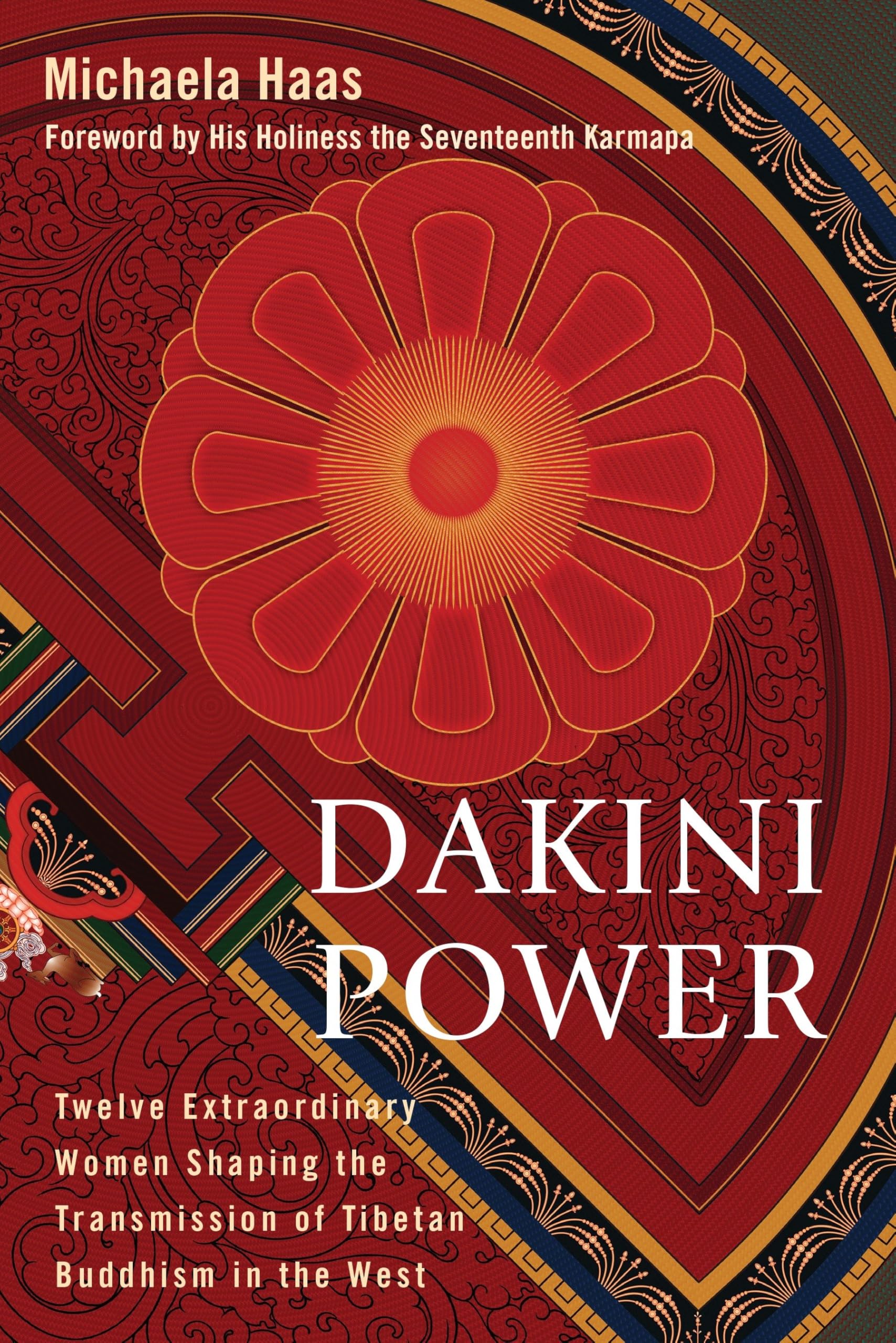 Dakini Power: Twelve Extraordinary Women Shaping the Transmission of Tibetan Buddhism in the West used book depot