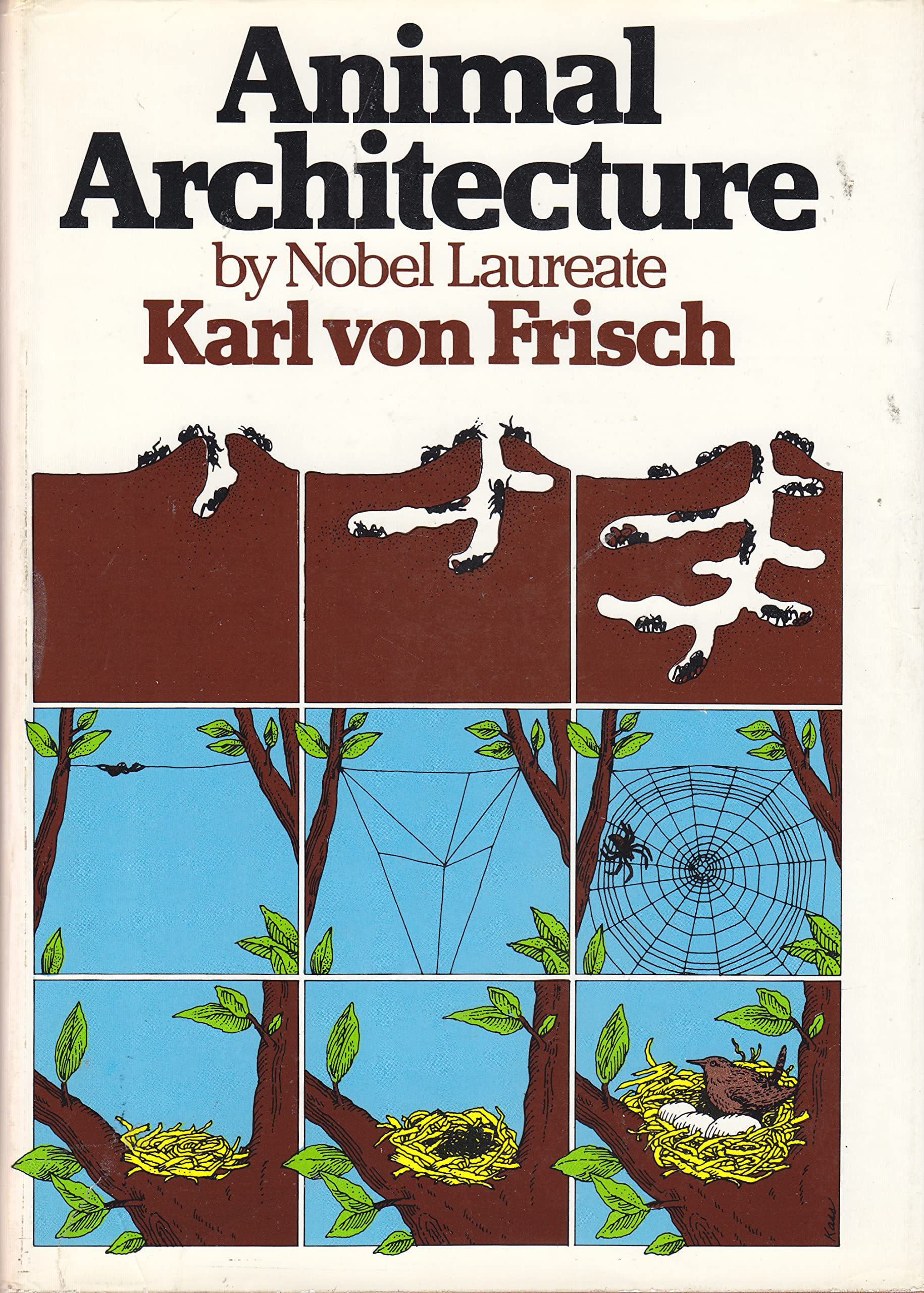 Animal Architecture (English and German Edition) used book depot