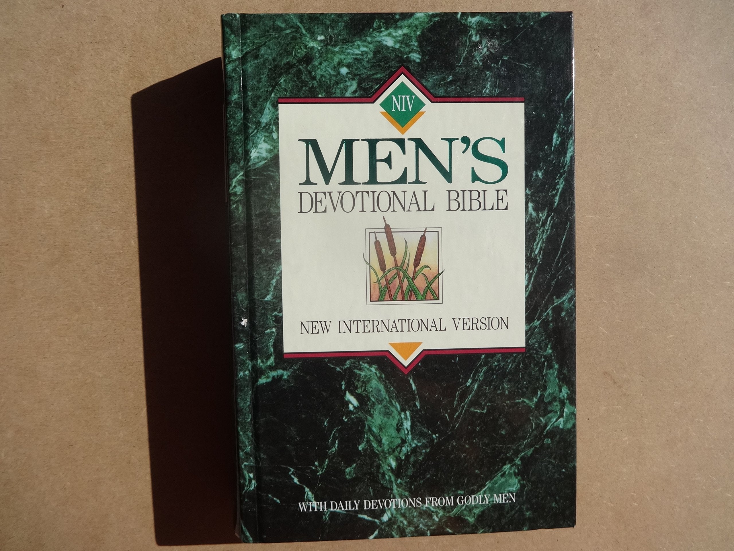 NIV Men's Devotional Bible: New International Version used book depot