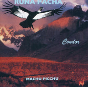 Runa Pacha - Machu Picchu Vol. IV (CD)